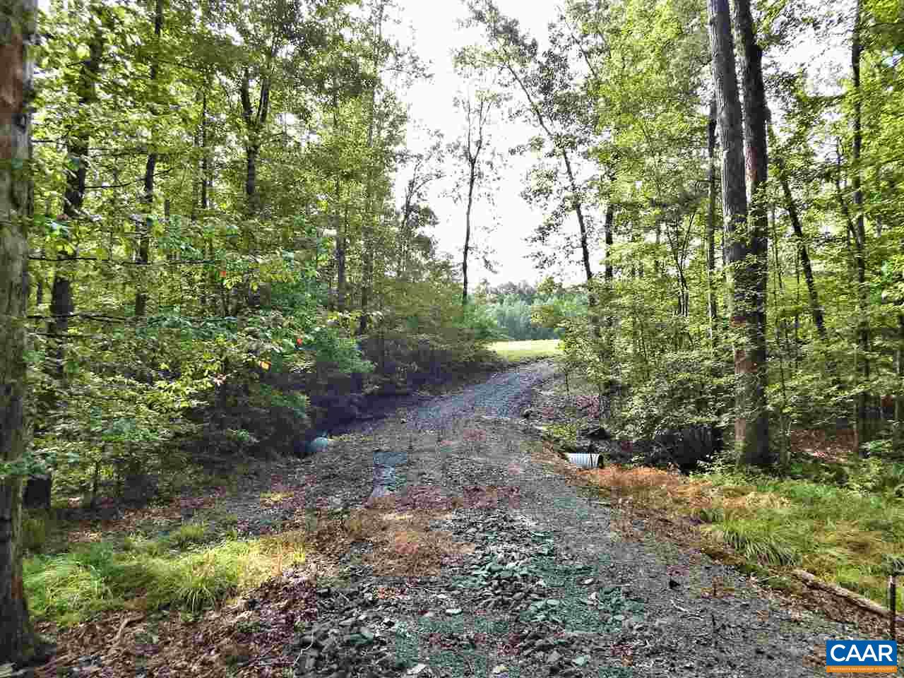 0 Deep Creek Road Palmyra, VA 22963 - Photo 6 of 10 Gallery Image 6