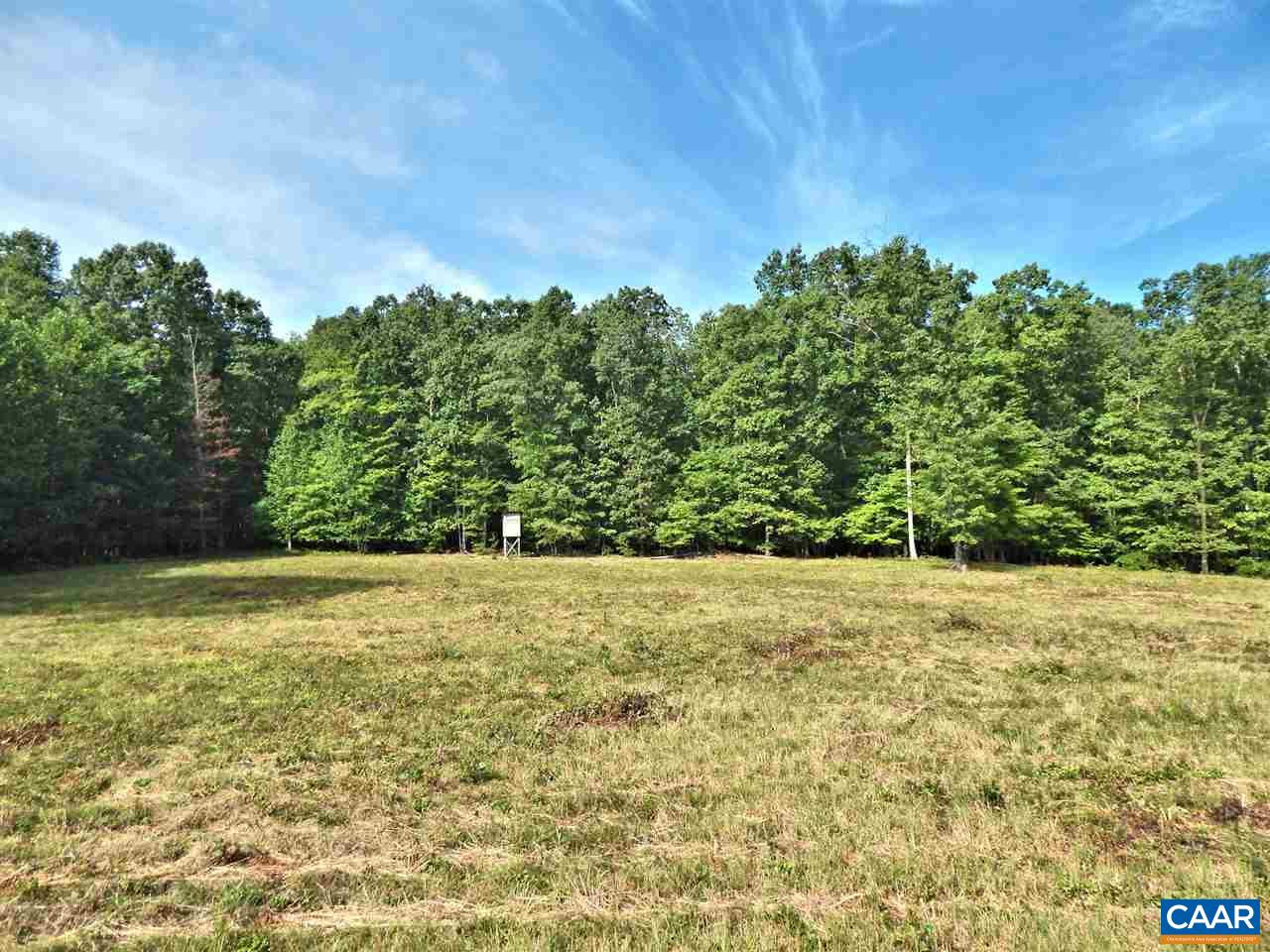0 Deep Creek Road Palmyra, VA 22963 - Photo 7 of 10 Gallery Image 7