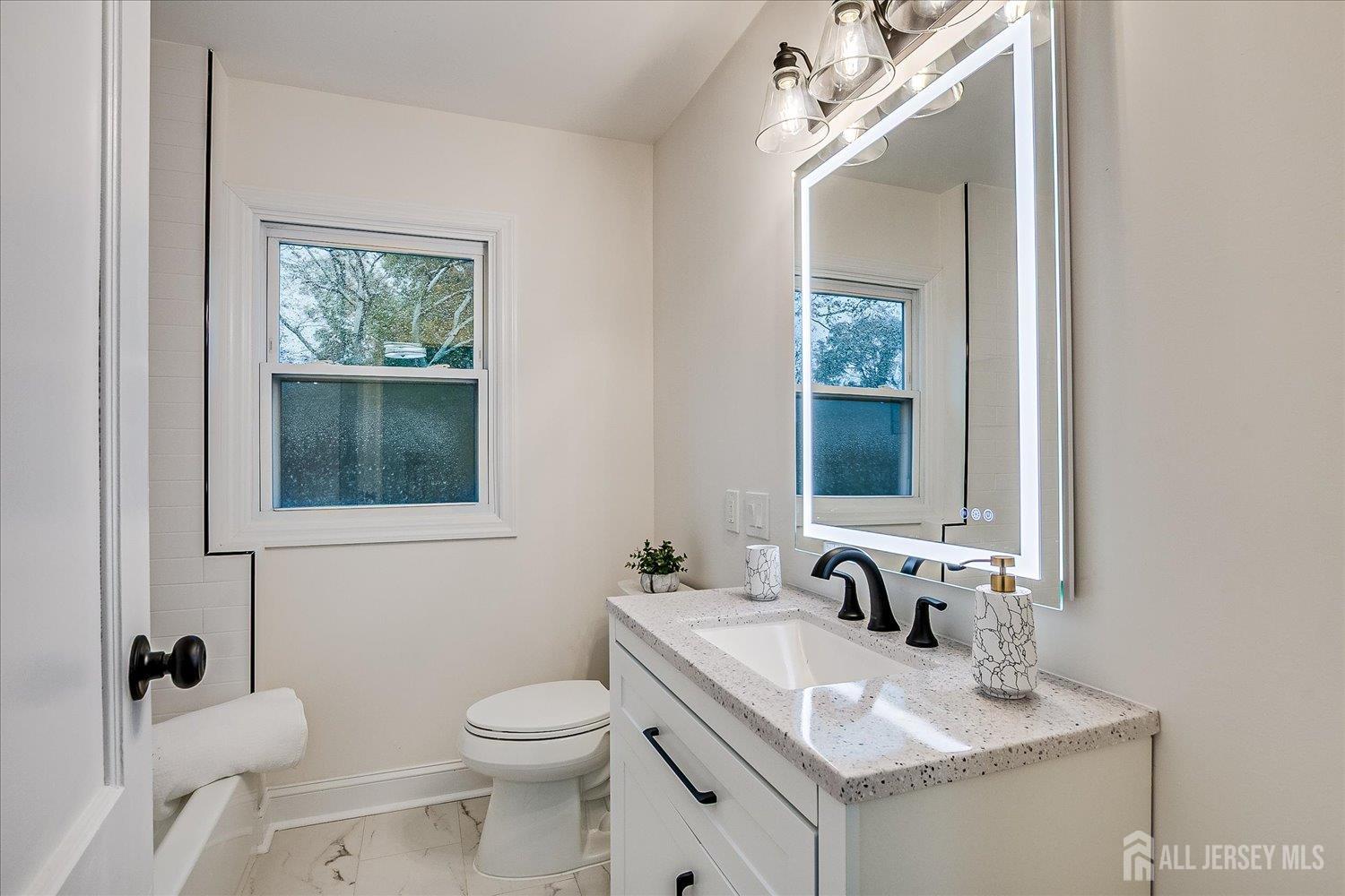 140 Oakview Avenue Maplewood, NJ 07040 - Photo 43 of 67 a bathroom with a toilet sink and mirror