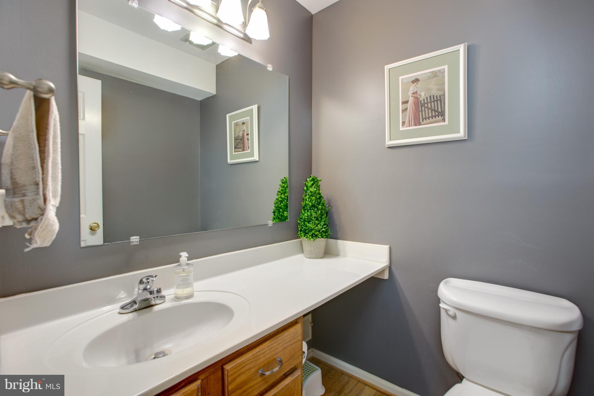 8500 Innisfree Drive Springfield, VA 22153 - Photo 16 of 30 Bath
