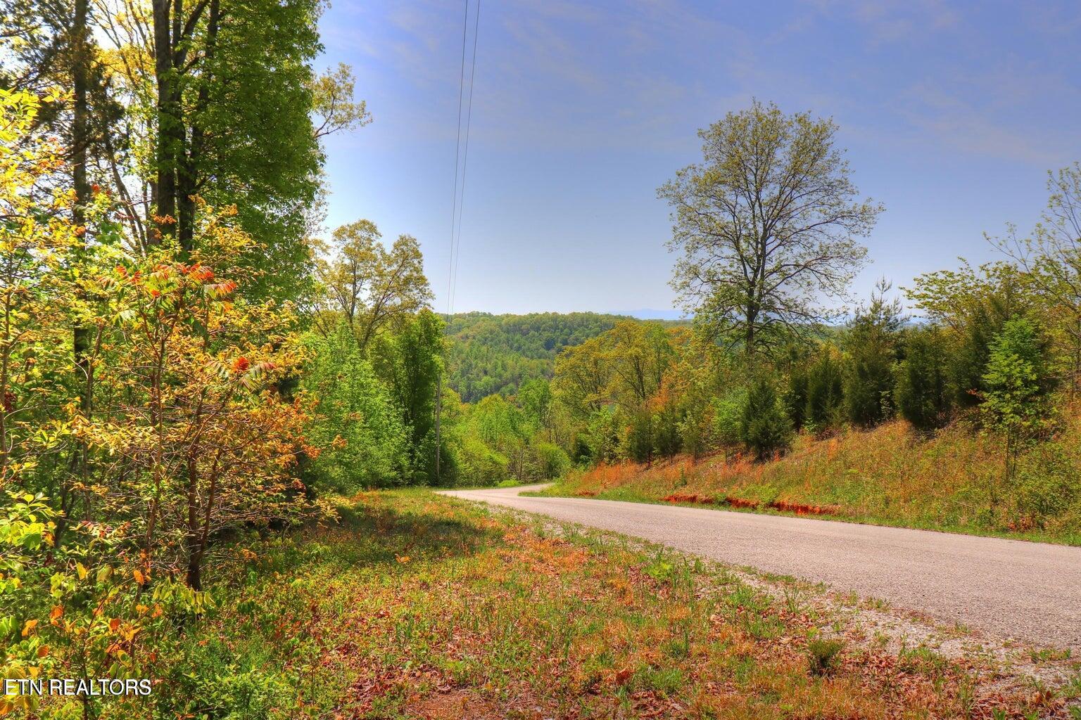 Lot172-173 Saddle Ridge Drive Speedwell, TN 37870 - Photo 1 of 14 Street View