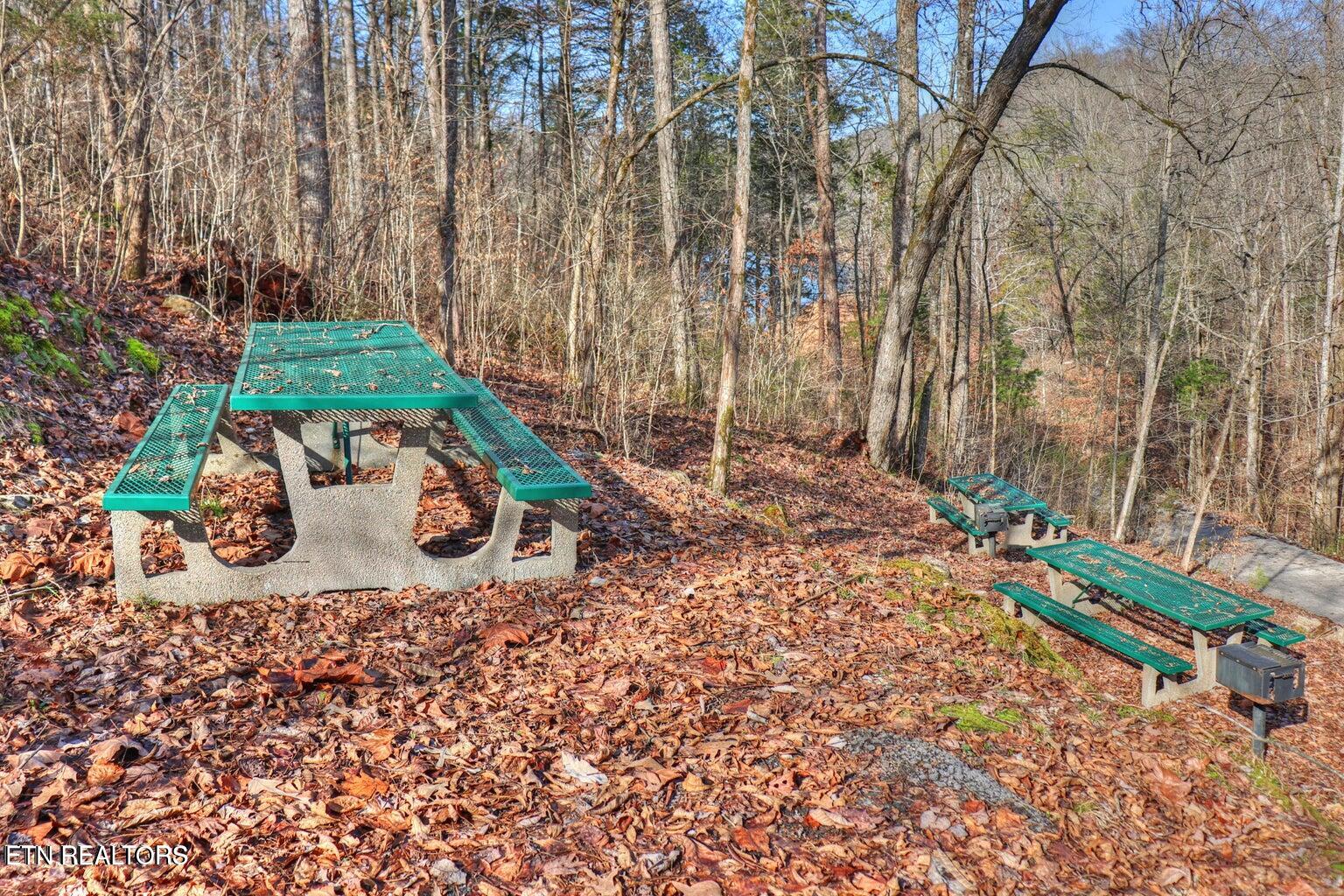 Lot172-173 Saddle Ridge Drive Speedwell, TN 37870 - Photo 13 of 14 picinc area