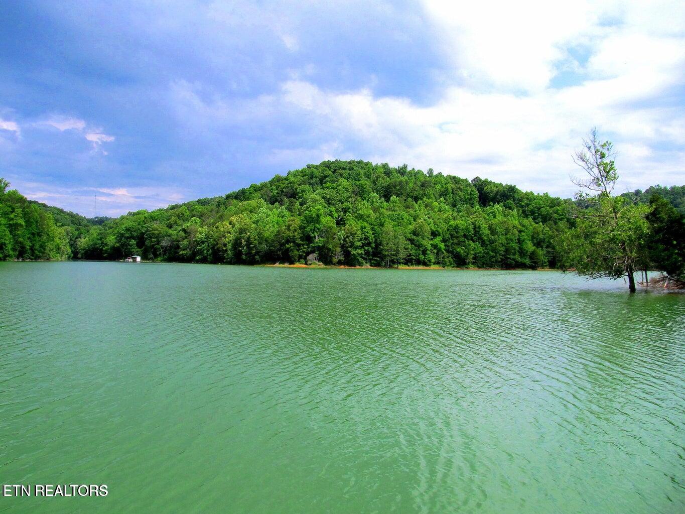 Lot172-173 Saddle Ridge Drive Speedwell, TN 37870 - Photo 10 of 14 Norris Lake views