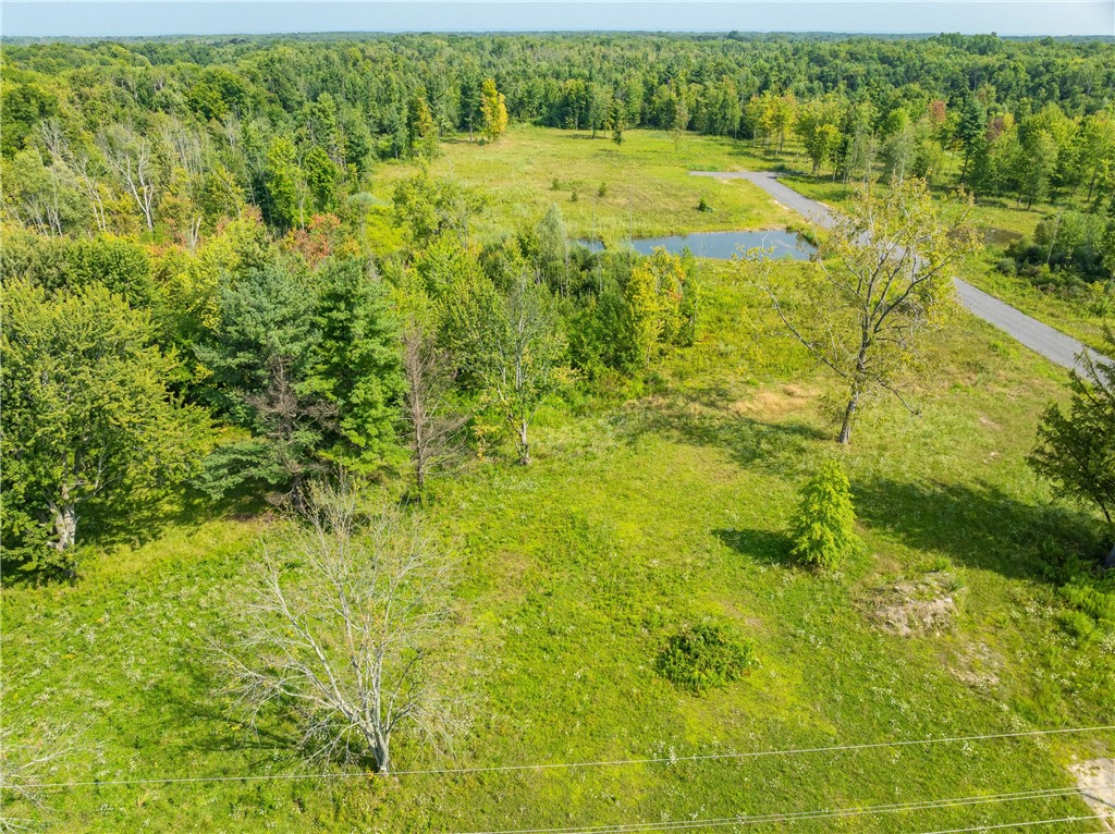 Lot 1 Clevenger Road Ontario, NY 14519 - Photo 1 of 1