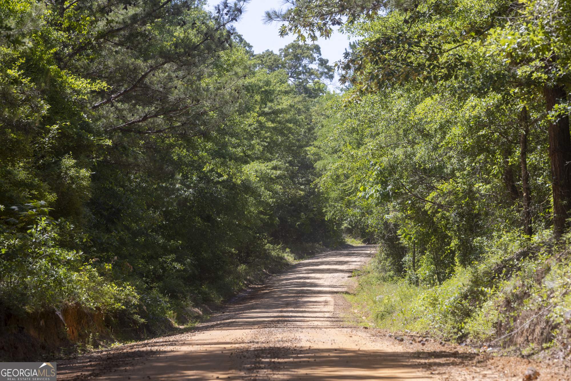 0 Old Griswoldville Road Macon, GA 31217 - Photo 45 of 62