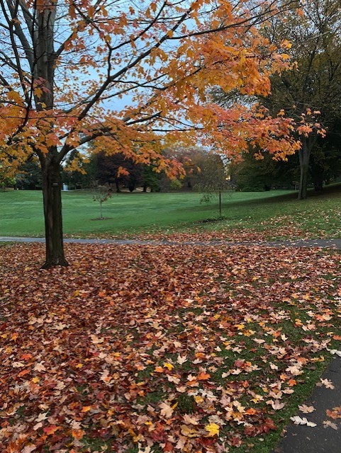 13 Newton Avenue Westerly, RI 02891 - Photo 46 of 49 WILCOX PARK IN FALL