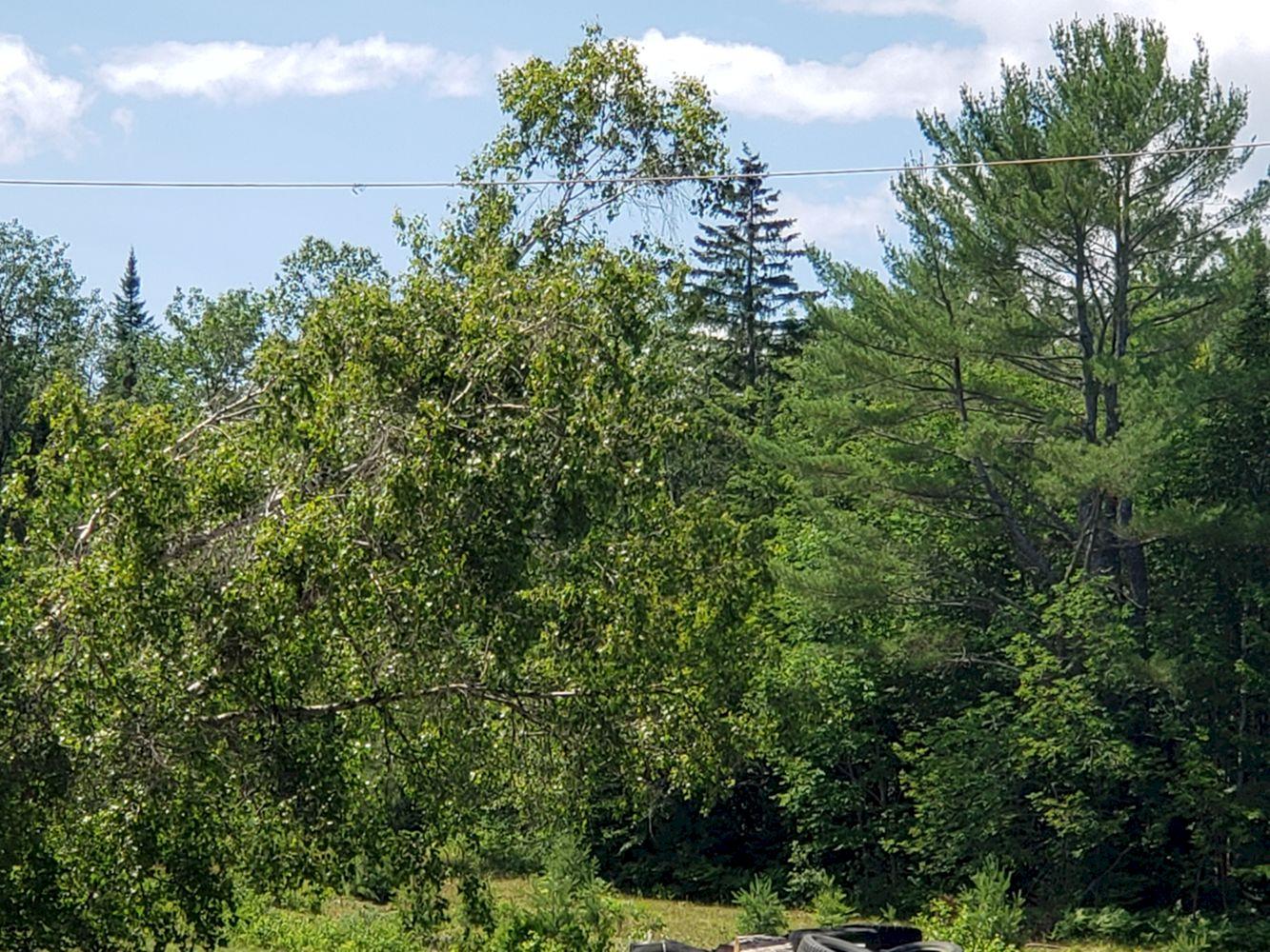 6 Harmony Road Wellington, ME 04942 - Photo 23 of 35 20200706_140313