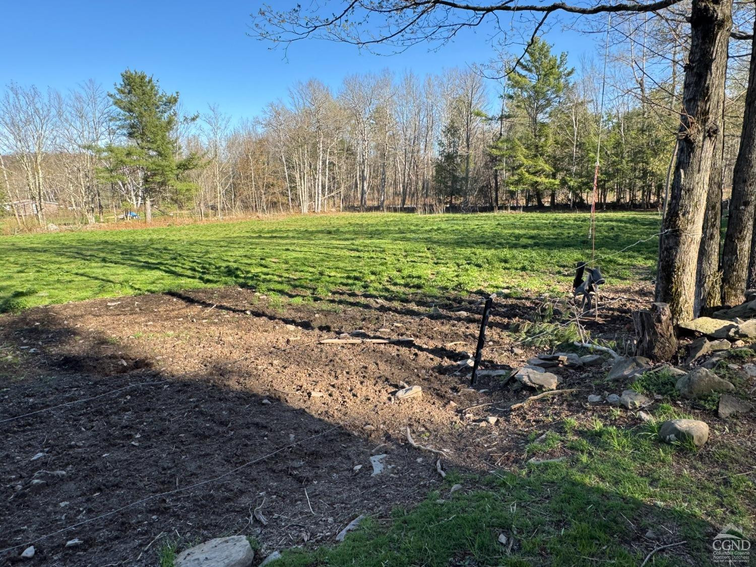 111 Cross Road Gilboa, NY 12076 - Photo 31 of 48 a view of a park with large trees
