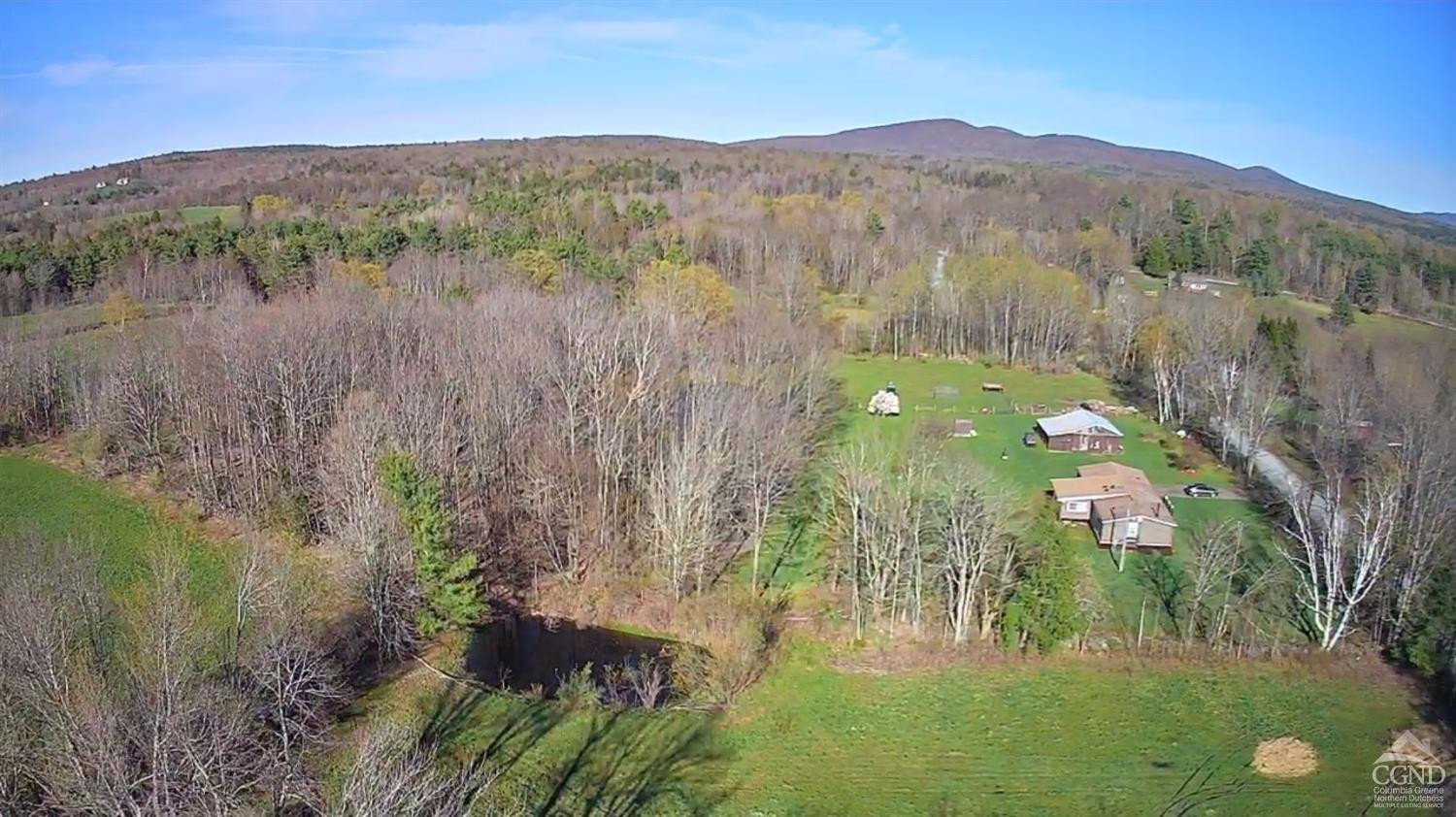 111 Cross Road Gilboa, NY 12076 - Photo 8 of 48 a view of a lush green hillside and trees