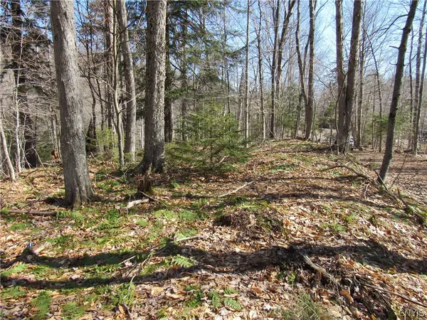 $59,000 | Undisclosed Address, Old Forge, NY 13420