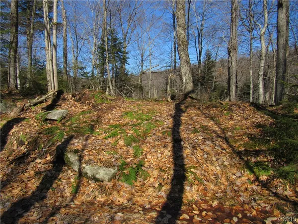 $59,000 | Undisclosed Address, Old Forge, NY 13420