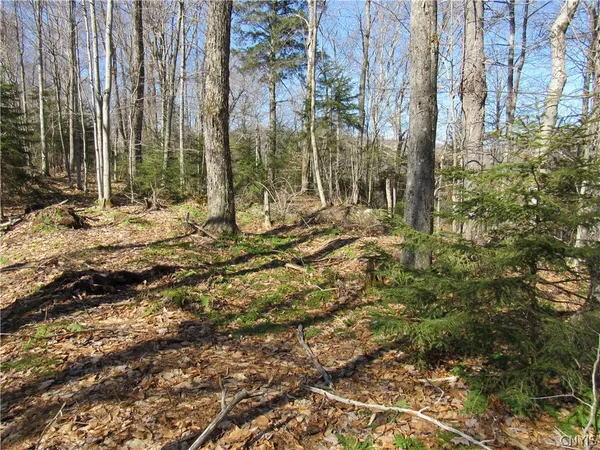 $59,000 | Undisclosed Address, Old Forge, NY 13420