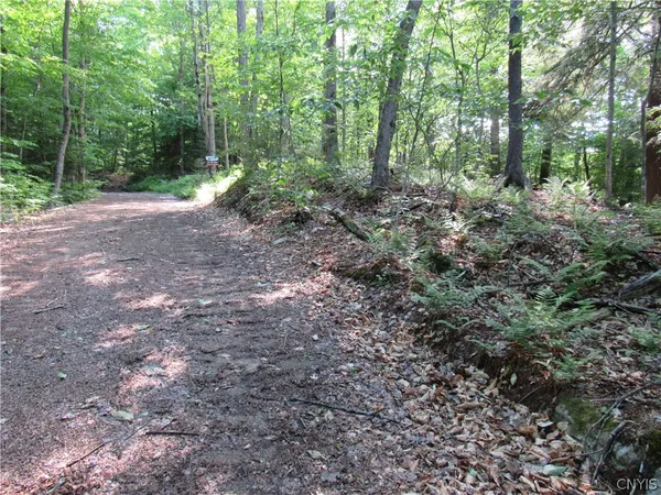 $59,000 | Undisclosed Address, Old Forge, NY 13420