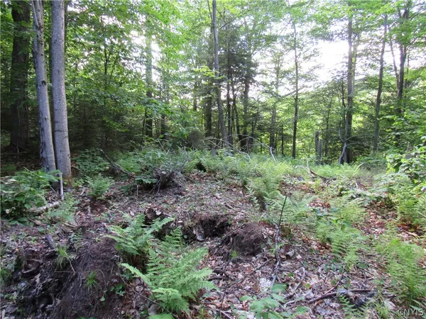 $59,000 | Undisclosed Address, Old Forge, NY 13420