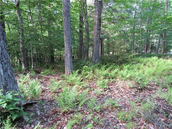 $59,000 | Undisclosed Address, Old Forge, NY 13420