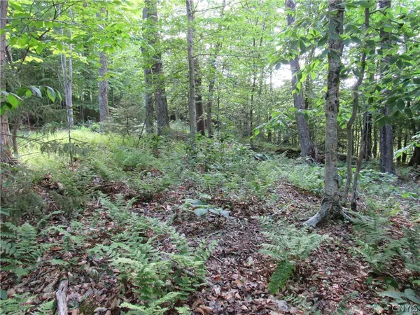 $59,000 | Undisclosed Address, Old Forge, NY 13420