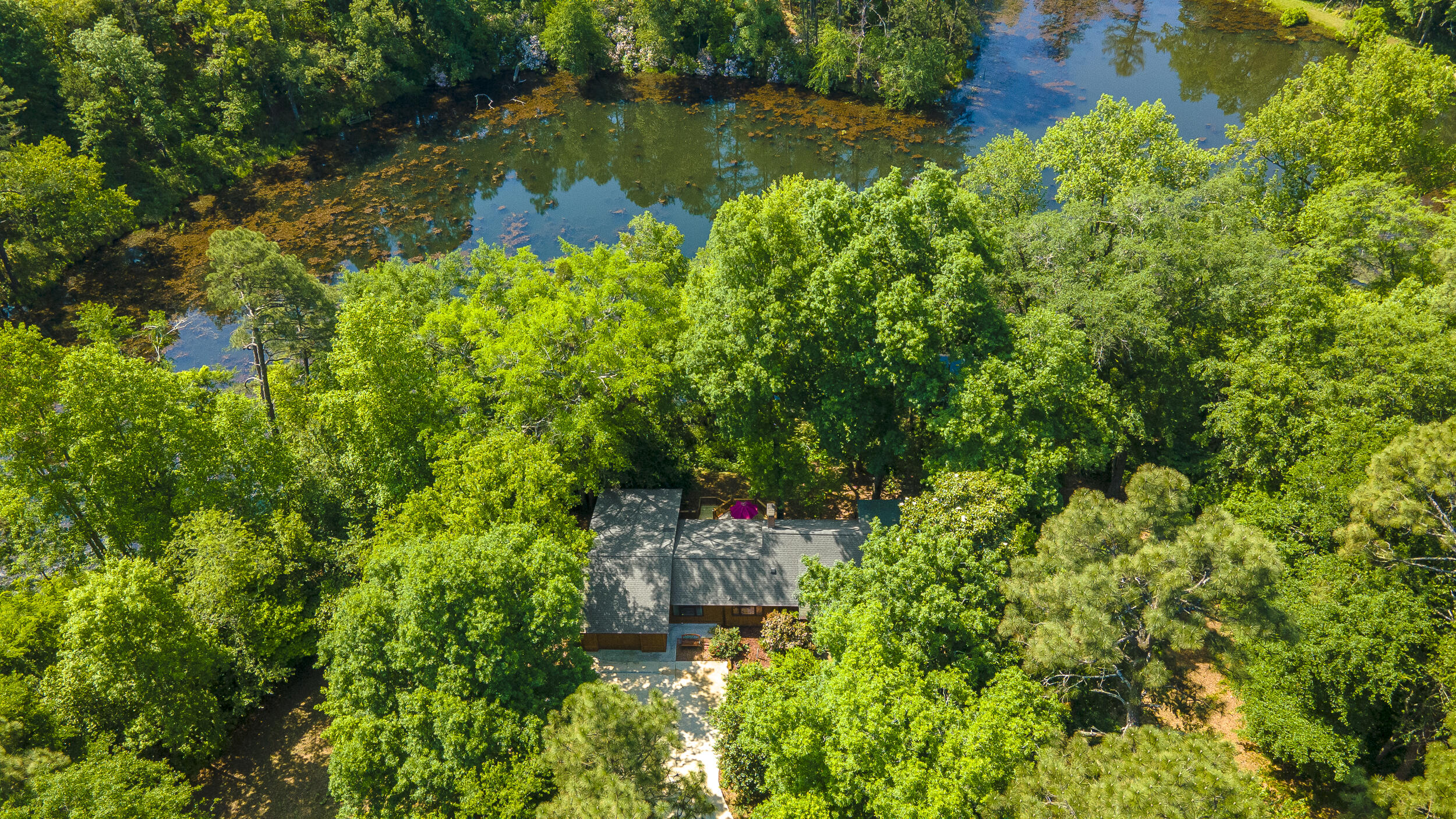 221 Beaver Branch Road Aiken, SC 29801 - Photo 1 of 43 221 Beaver Branch Road