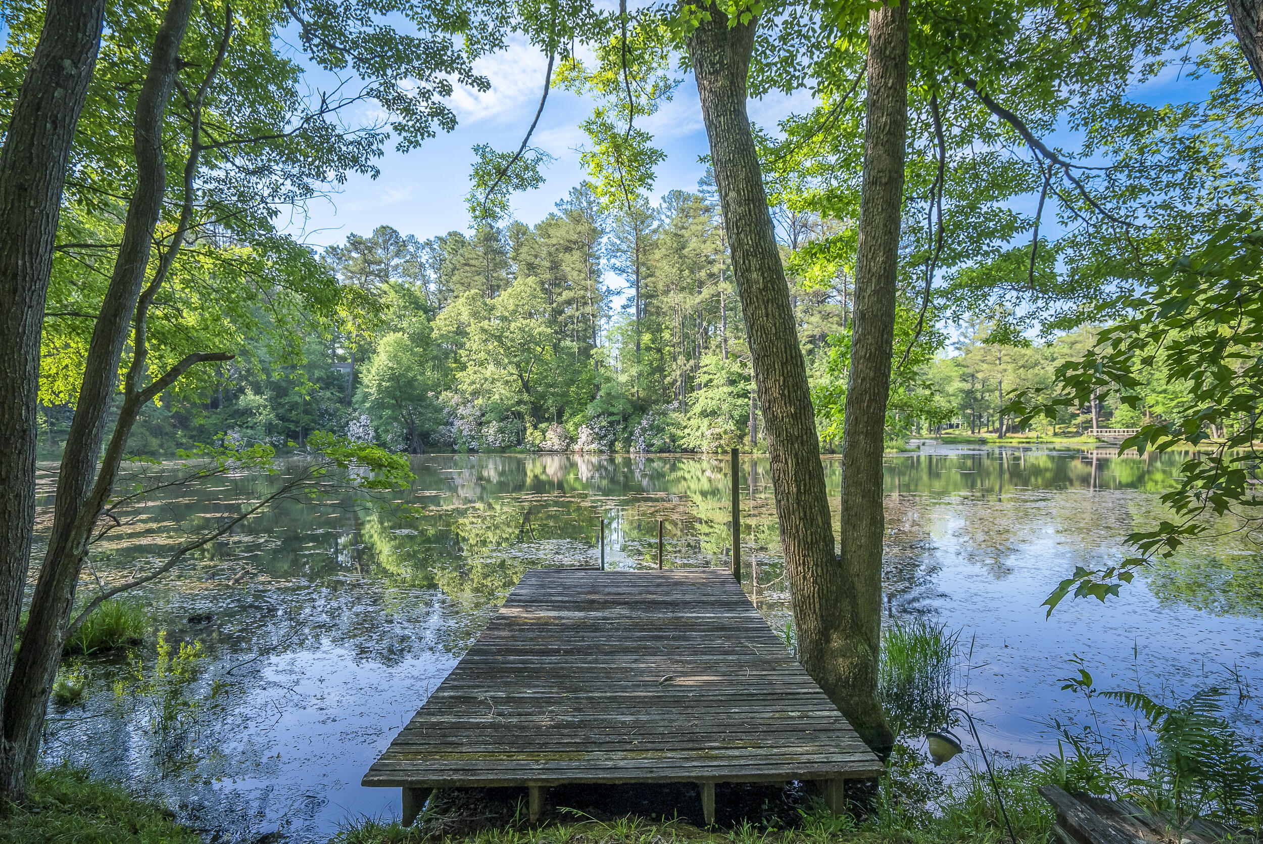 221 Beaver Branch Road Aiken, SC 29801 - Photo 5 of 43 Dock