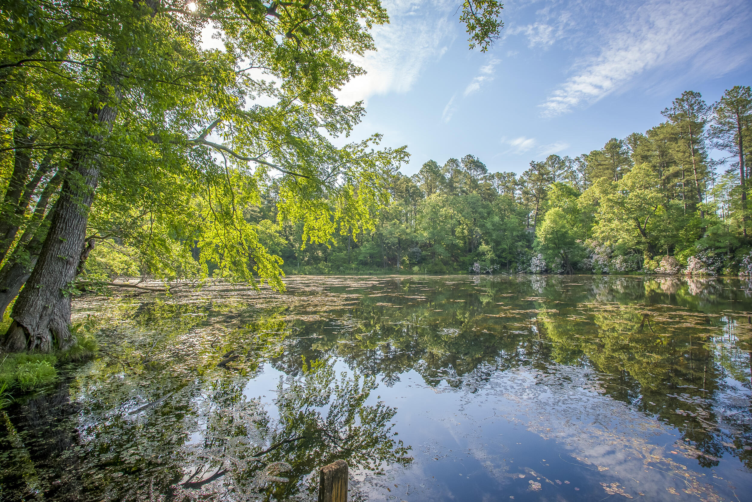 221 Beaver Branch Road Aiken, SC 29801 - Photo 6 of 43 Lake View