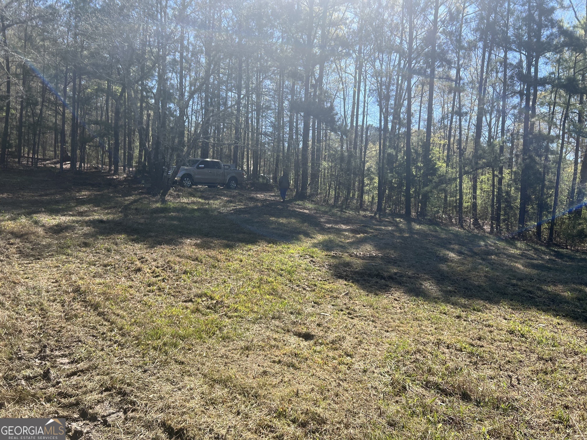 1073 Blount Road Jackson, GA 30233 - Photo 22 of 34