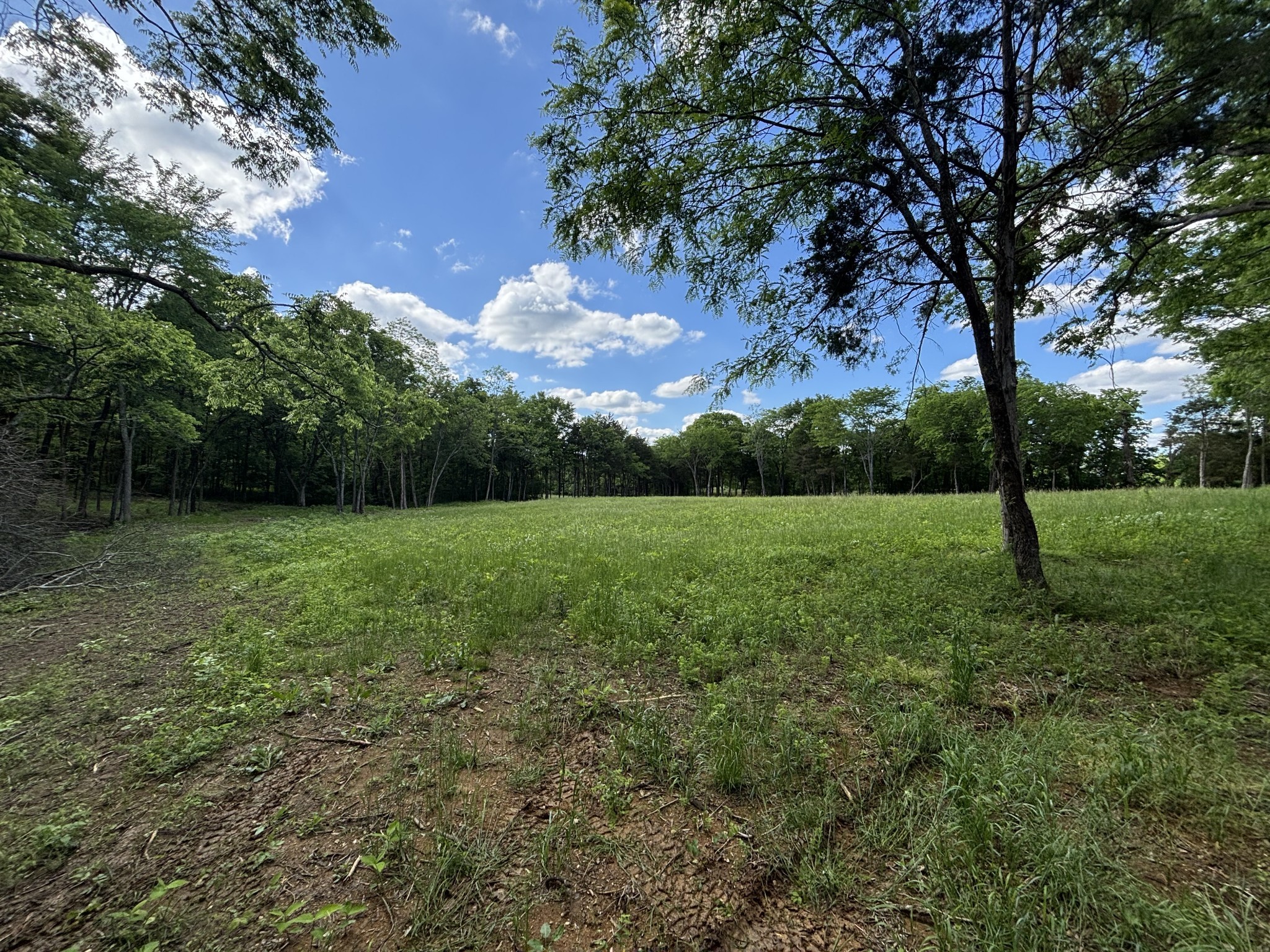 9205 Bowles Road Rockvale, TN 37153 - Photo 20 of 54 Gallery Image 20