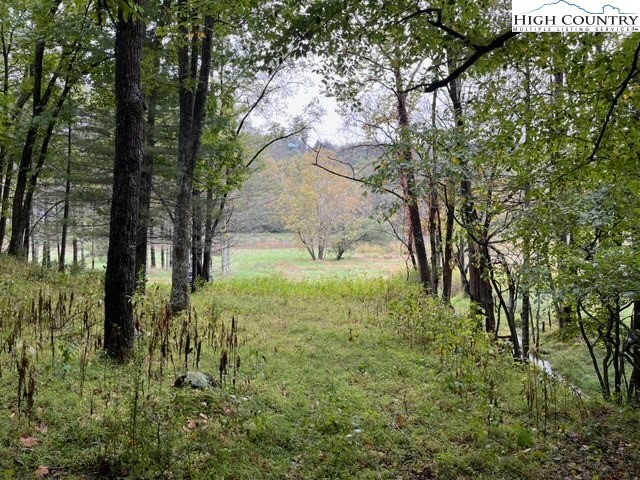 1 Old Boyer Ferry Road Galax, VA 24333 - Photo 1 of 6 a view of a garden with a tree