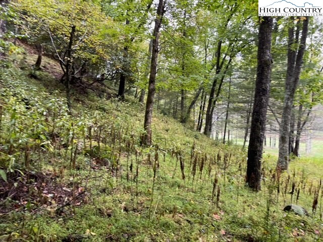 1 Old Boyer Ferry Road Galax, VA 24333 - Photo 3 of 6 a view of outdoor space and a yard