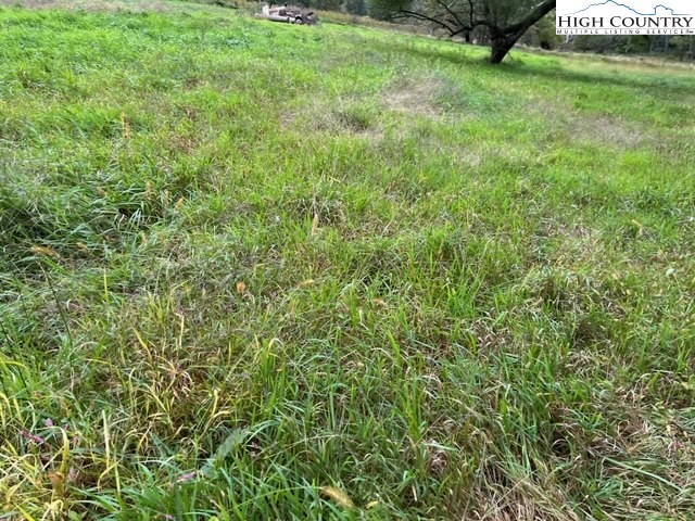 1 Old Boyer Ferry Road Galax, VA 24333 - Photo 6 of 6 a view of a big yard with plants and large trees