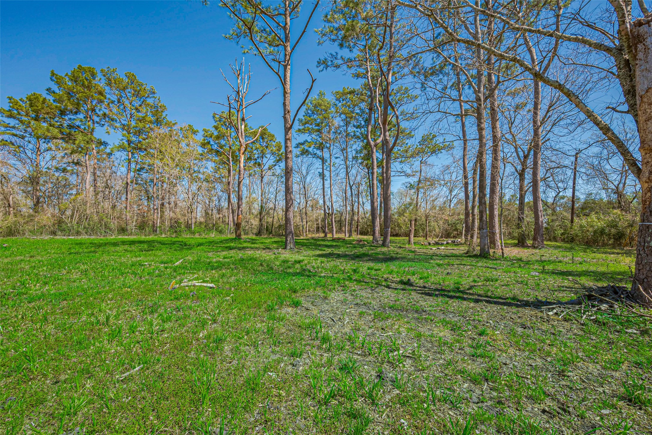 0 Stag Circle Huffman, TX 77336 - Photo 8 of 15