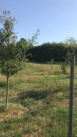 a view of a lake view