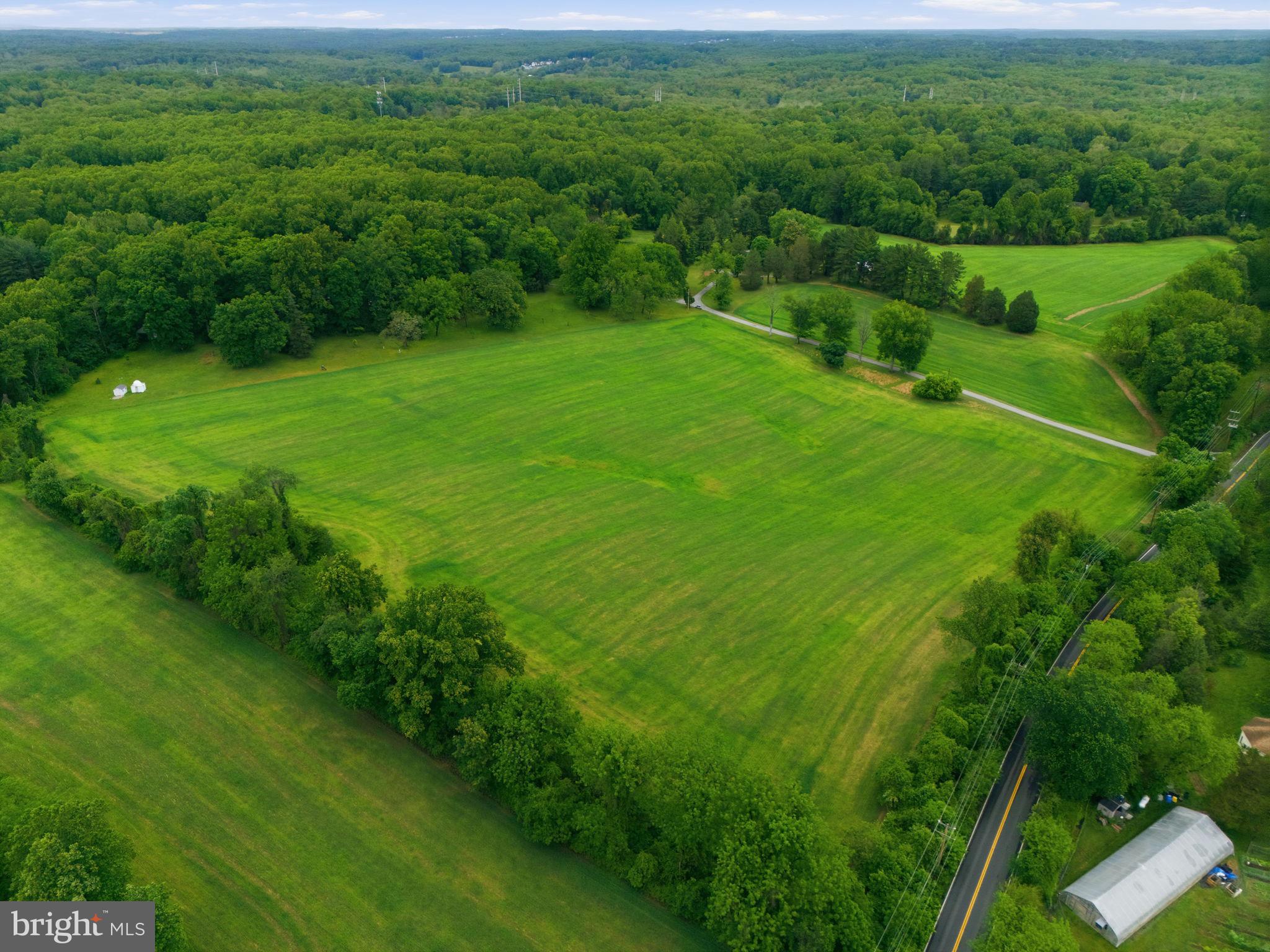 250 Ashton Road Ashton, MD 20861 - Photo 8 of 11 a view of a green yard with large trees