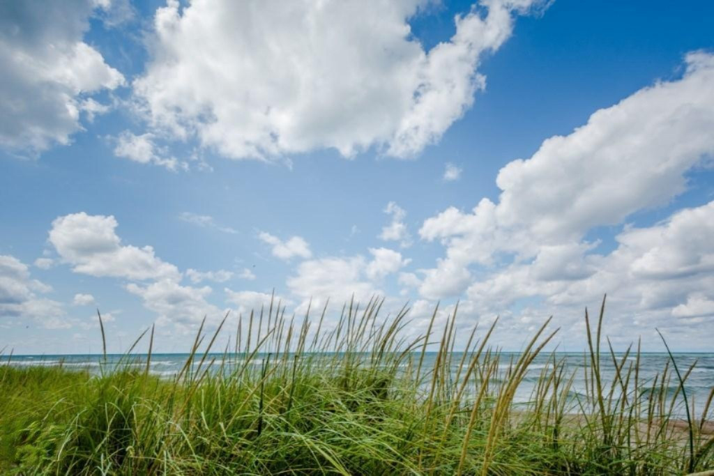 16070 Lakeshore Road Union Pier, MI 49129 - Photo 49 of 49 20150820-EMY_7819