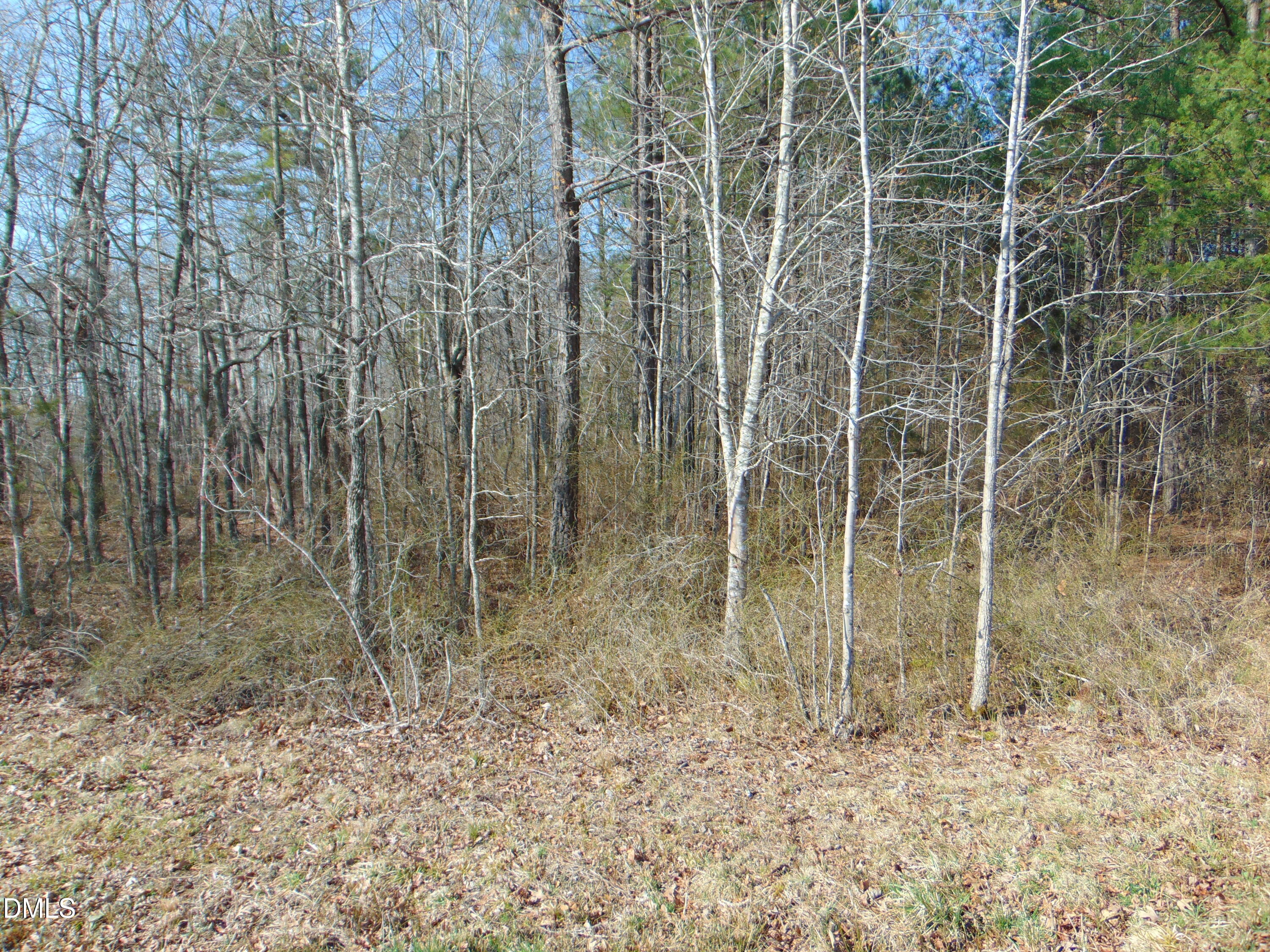 0 Cates Mill Road Roxboro, NC 27574 - Photo 18 of 28 DSC01464