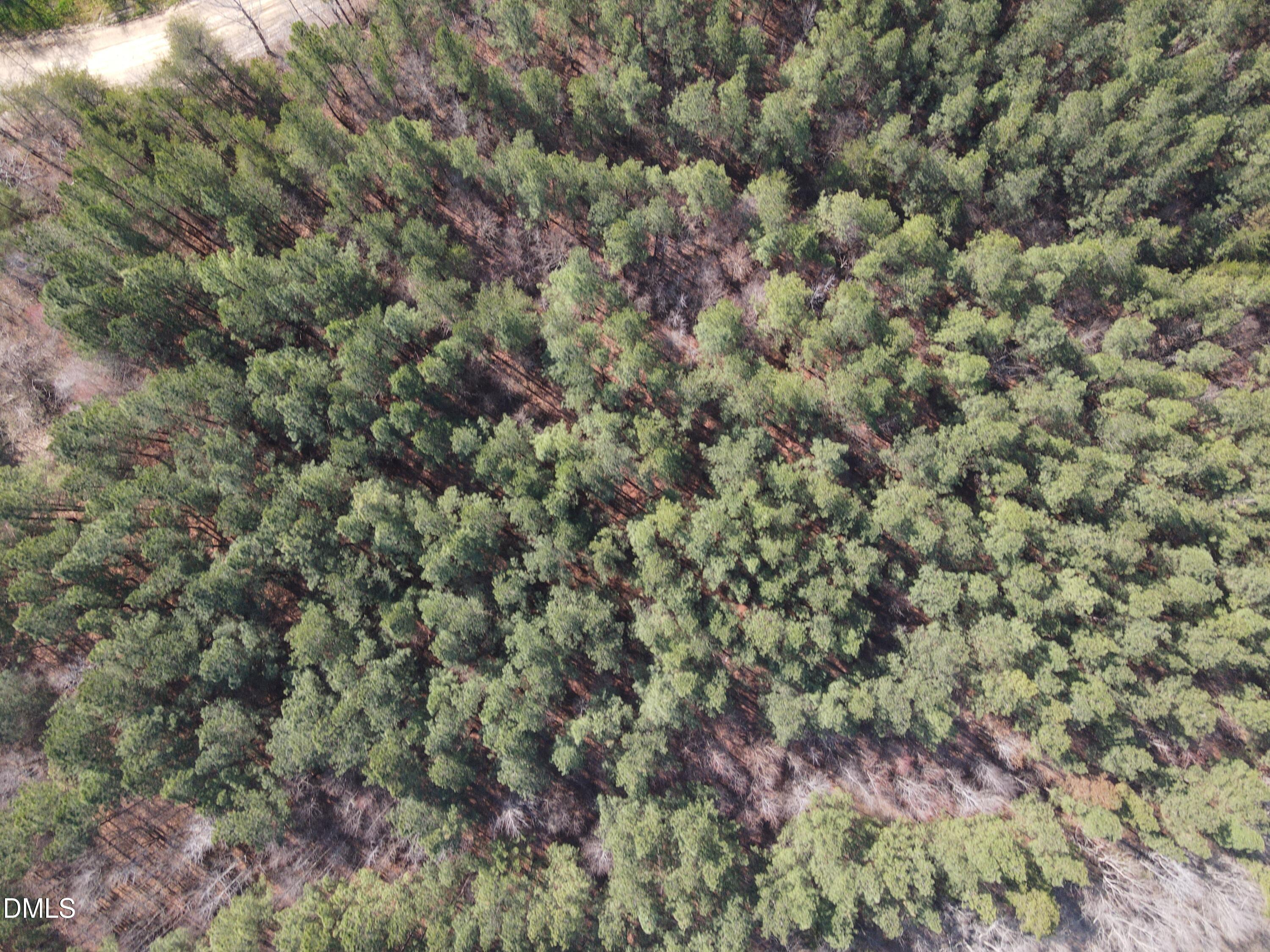 0 Cates Mill Road Roxboro, NC 27574 - Photo 19 of 31 DJI_0774