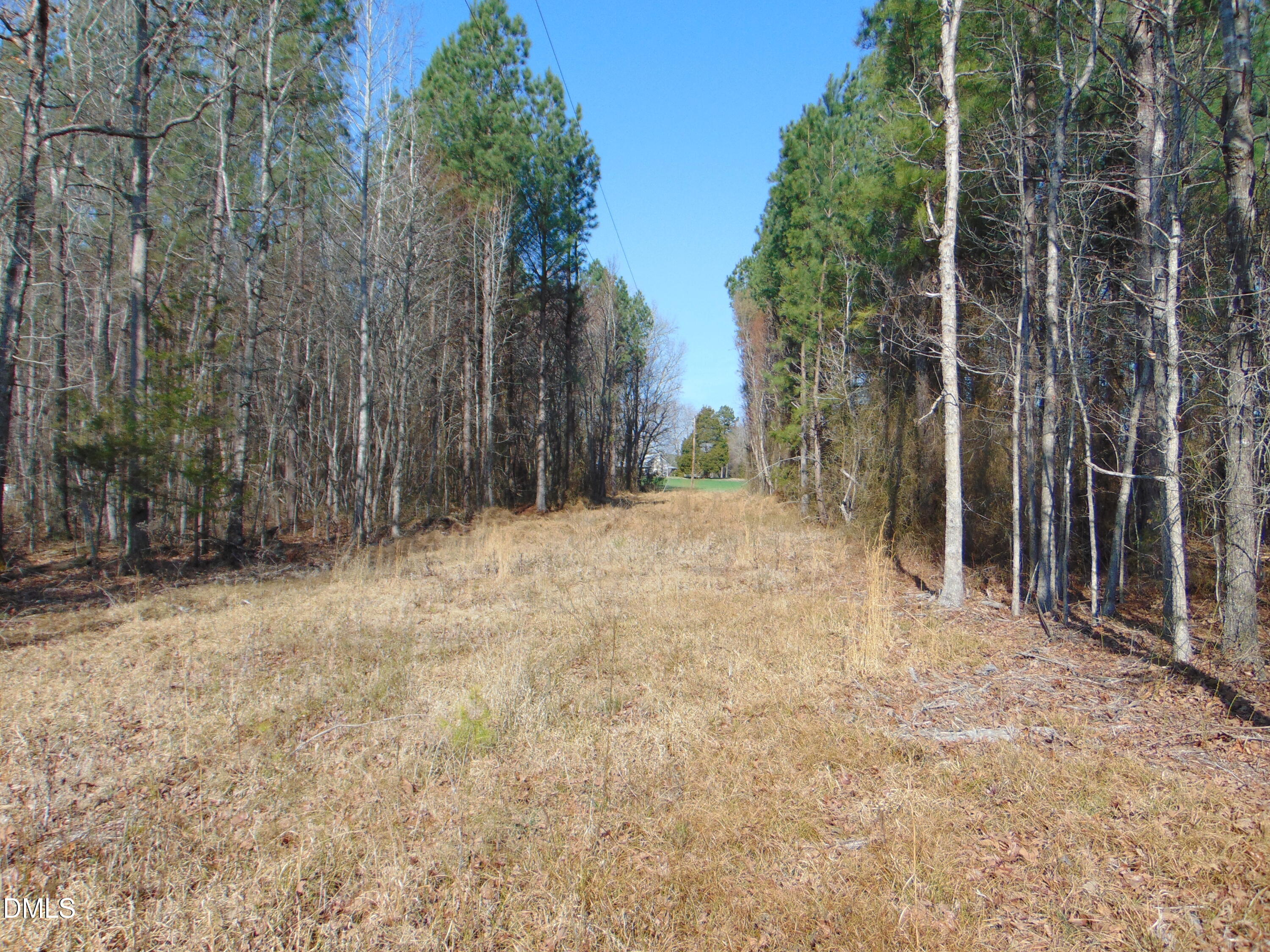 0 Cates Mill Road Roxboro, NC 27574 - Photo 20 of 28 DSC01466