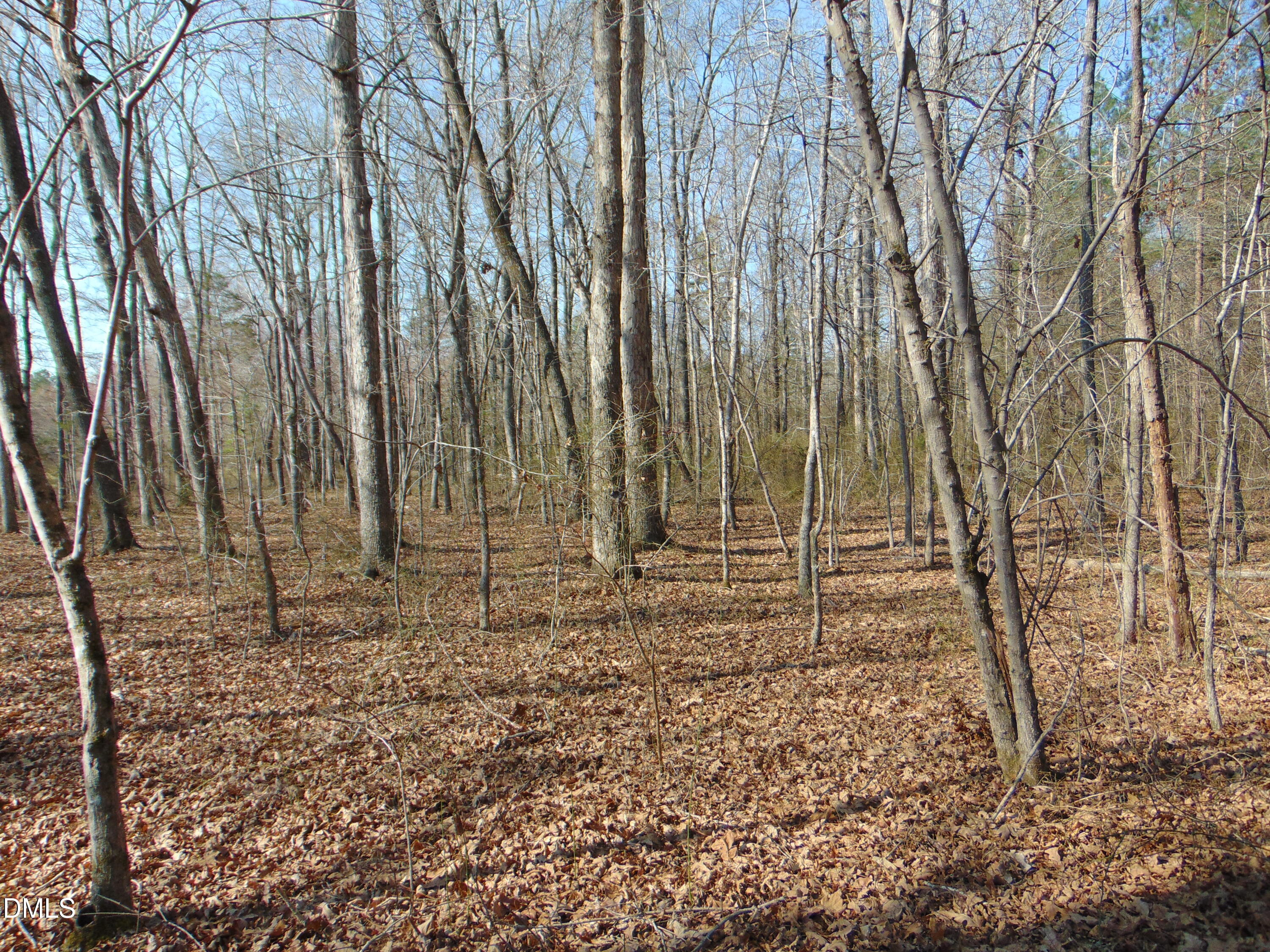 0 Cates Mill Road Roxboro, NC 27574 - Photo 21 of 28 DSC01467