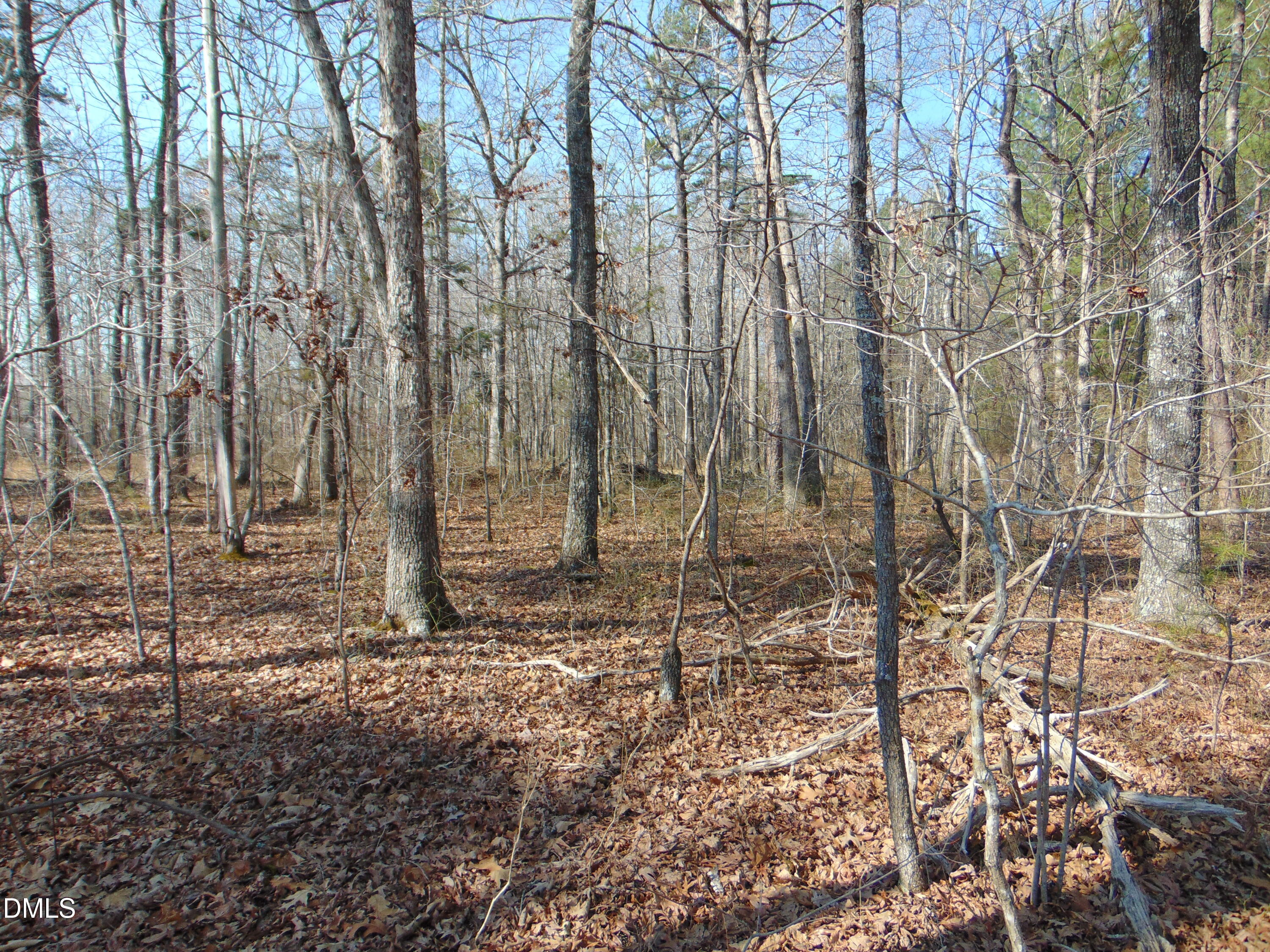 0 Cates Mill Road Roxboro, NC 27574 - Photo 24 of 31 a view of a yard with lots of trees
