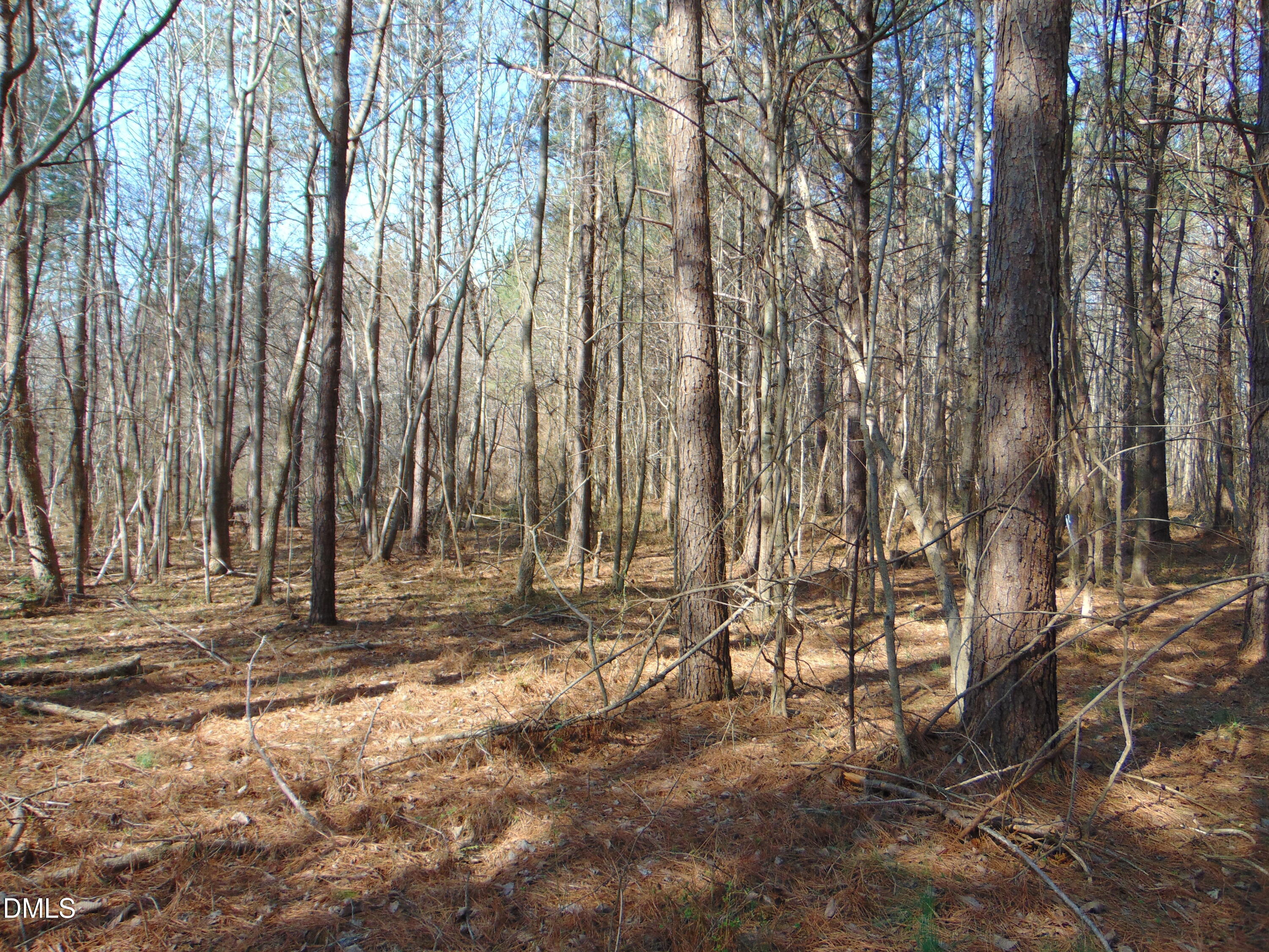 0 Cates Mill Road Roxboro, NC 27574 - Photo 28 of 31 a view of outdoor space with wooden fence