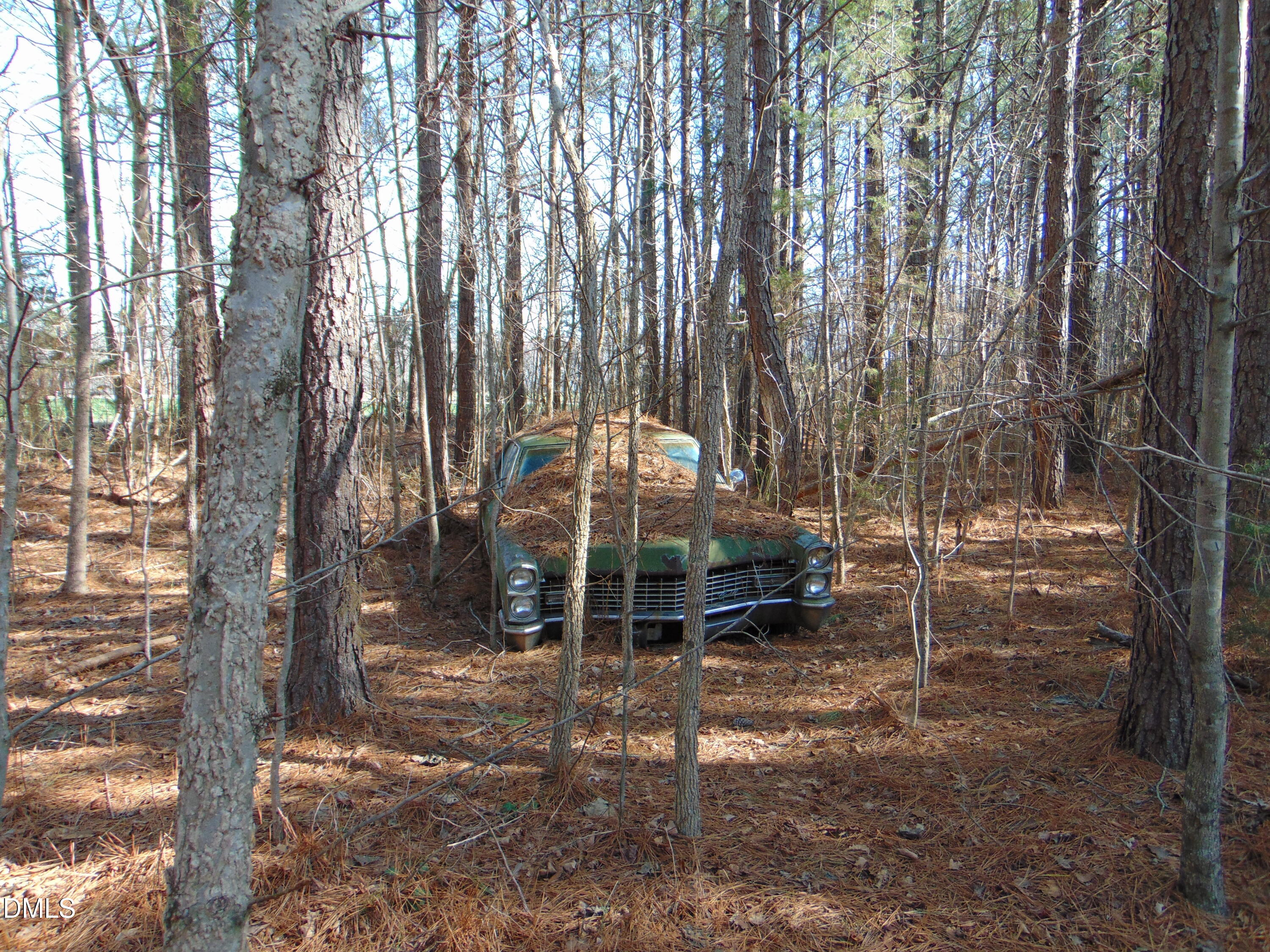 0 Cates Mill Road Roxboro, NC 27574 - Photo 28 of 28 DSC01474