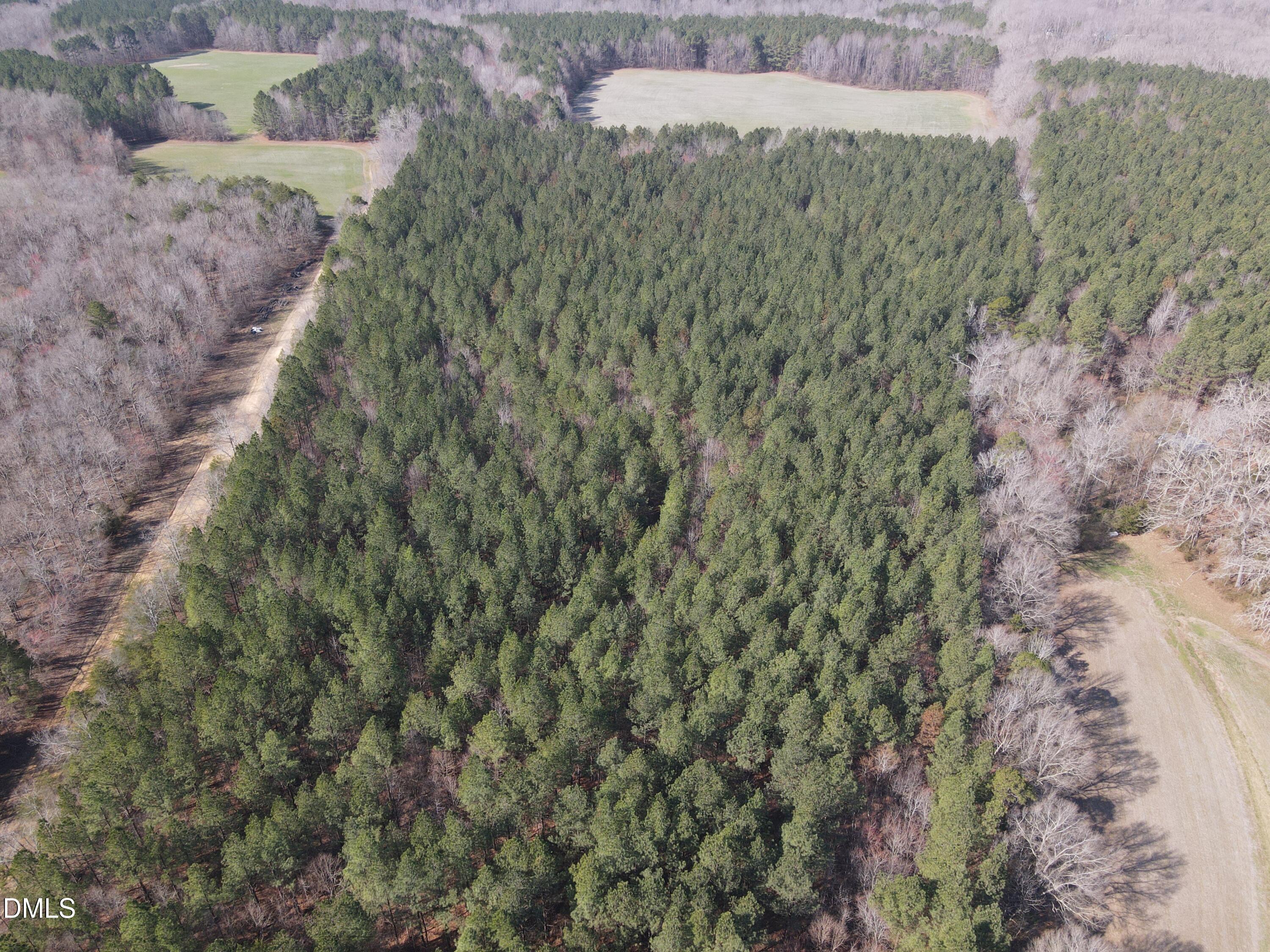 0 Cates Mill Road Roxboro, NC 27574 - Photo 4 of 28 DJI_0767