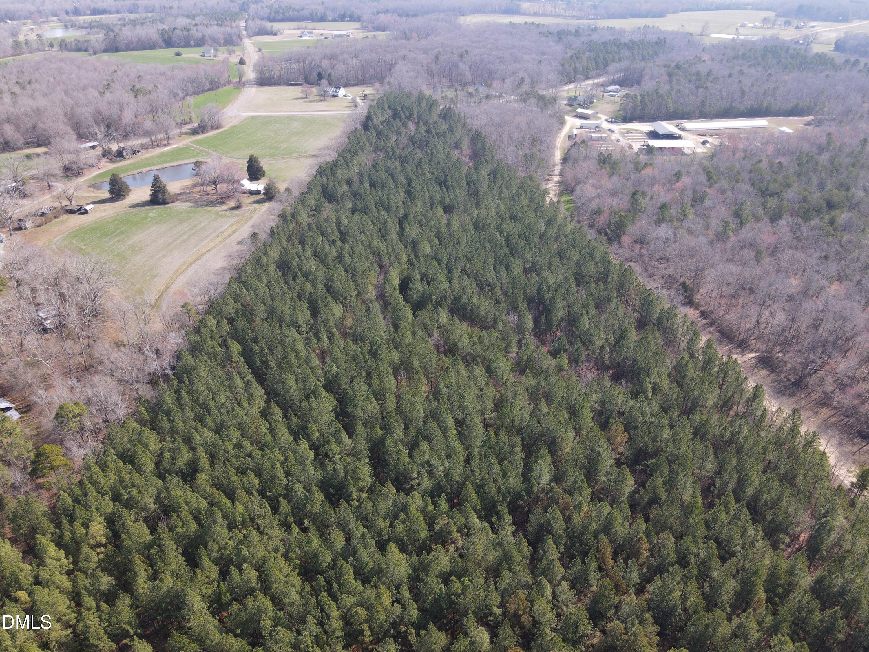 0 Cates Mill Road Roxboro, NC 27574 - Photo 6 of 28 DJI_0769