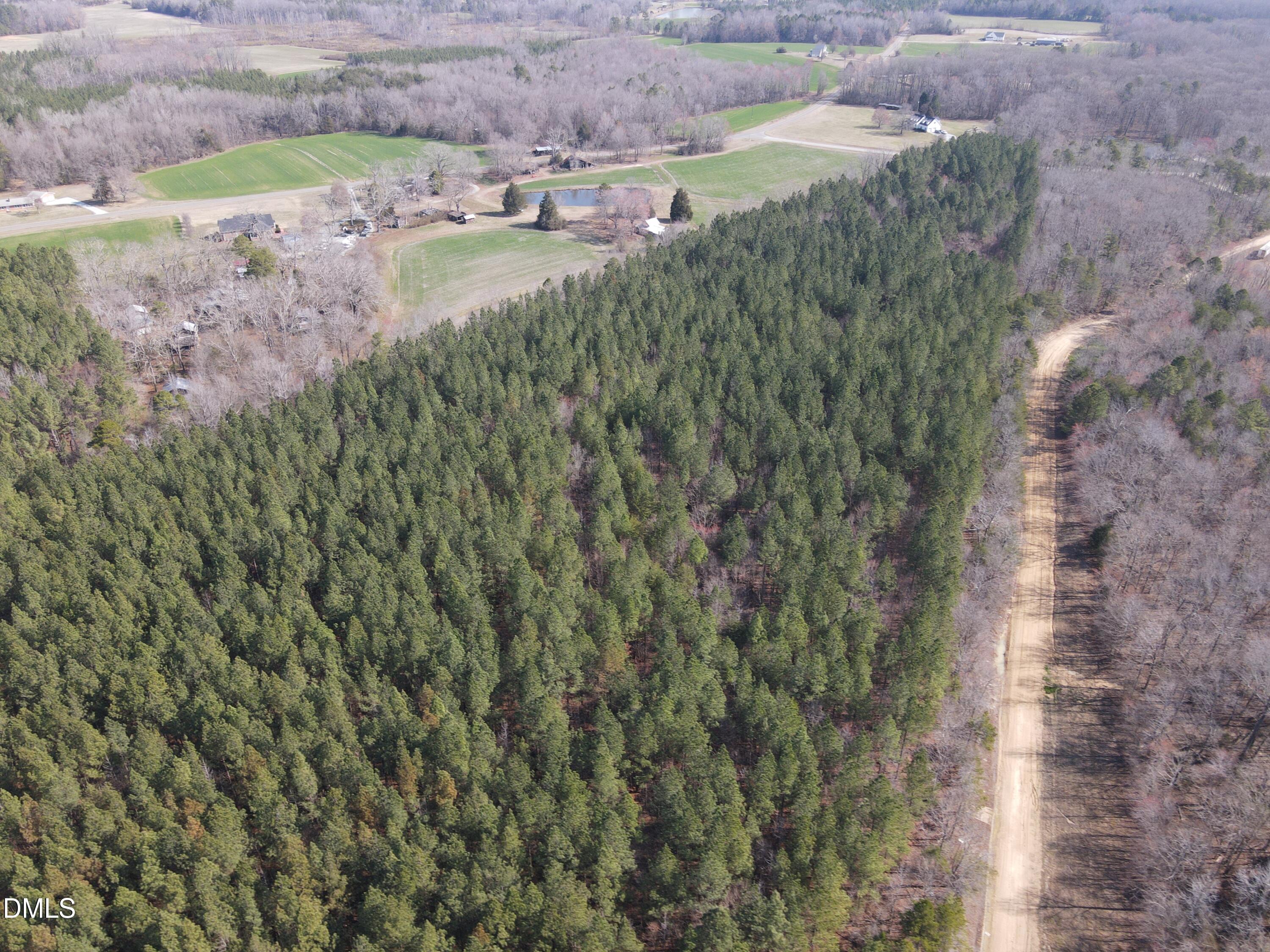 0 Cates Mill Road Roxboro, NC 27574 - Photo 7 of 28 DJI_0770
