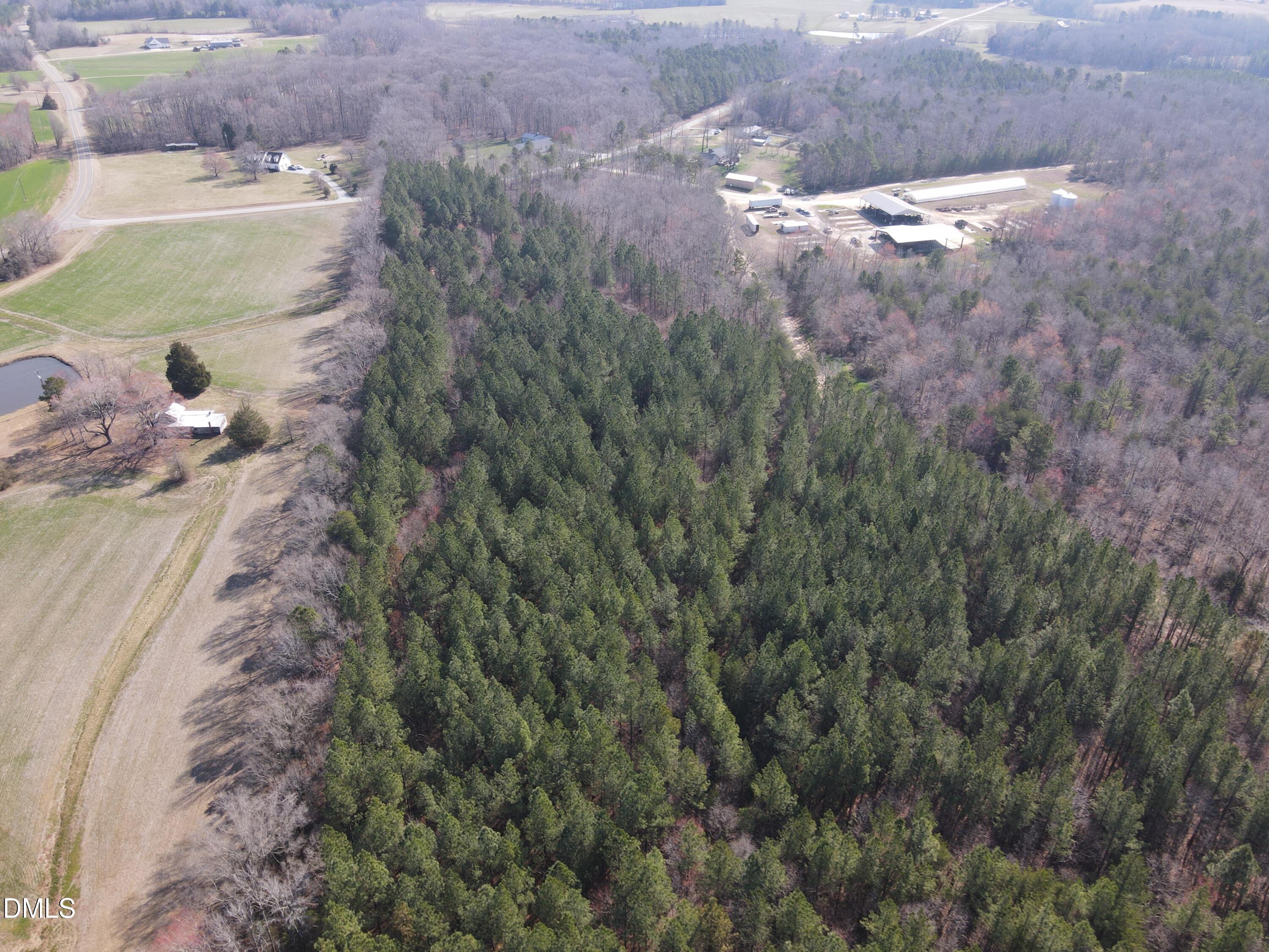 0 Cates Mill Road Roxboro, NC 27574 - Photo 8 of 28 DJI_0771