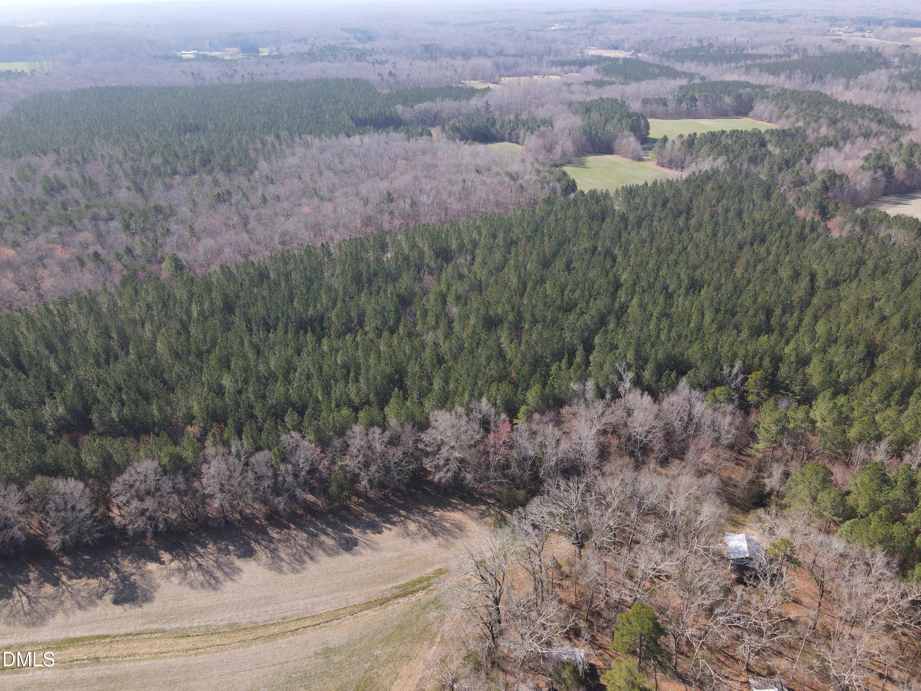 0 Cates Mill Road Roxboro, NC 27574 - Photo 10 of 28 DJI_0773