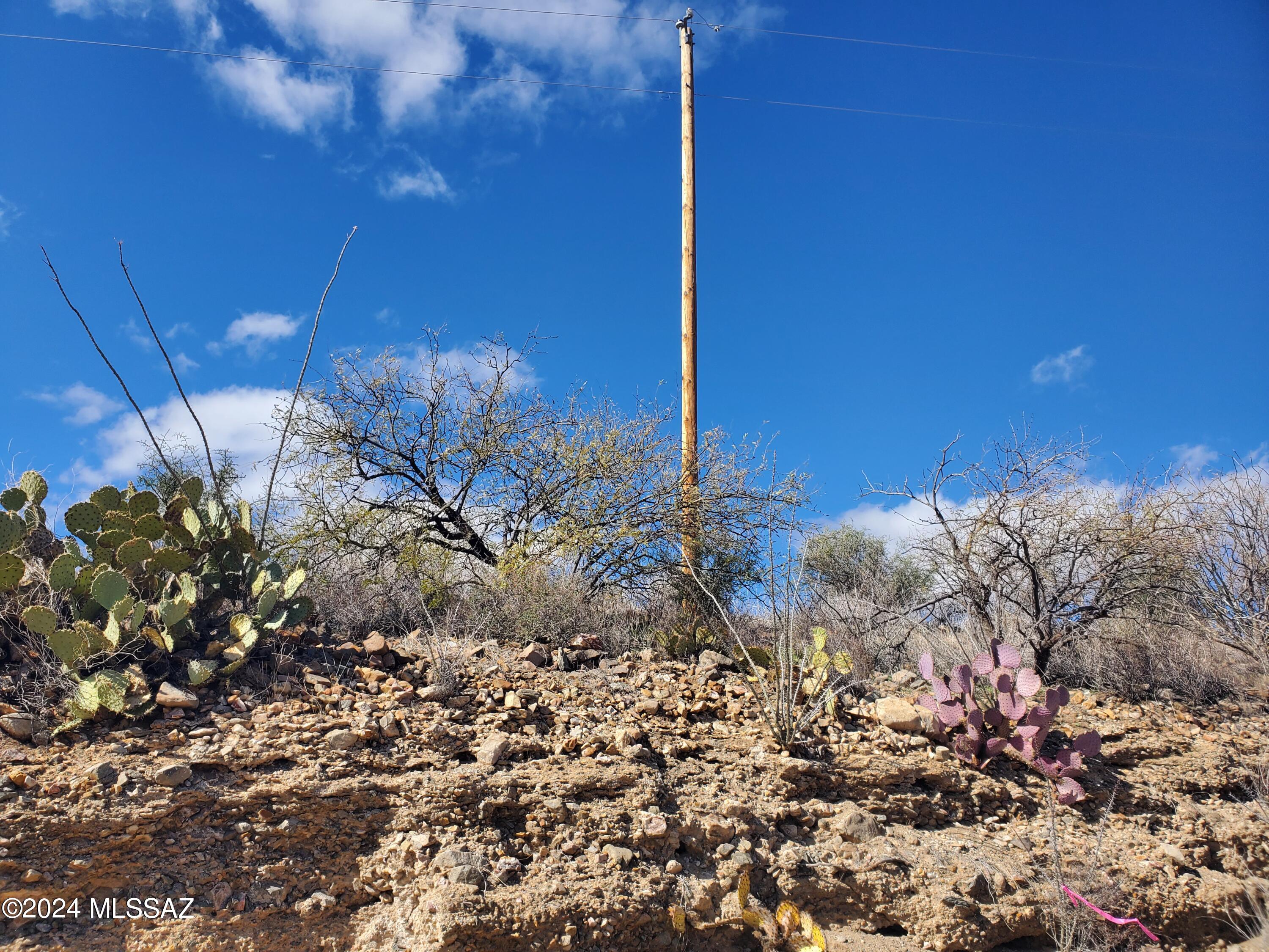 320 Circulo Chica, Unit 53 Rio Rico, AZ 85648 - Photo 4 of 9
