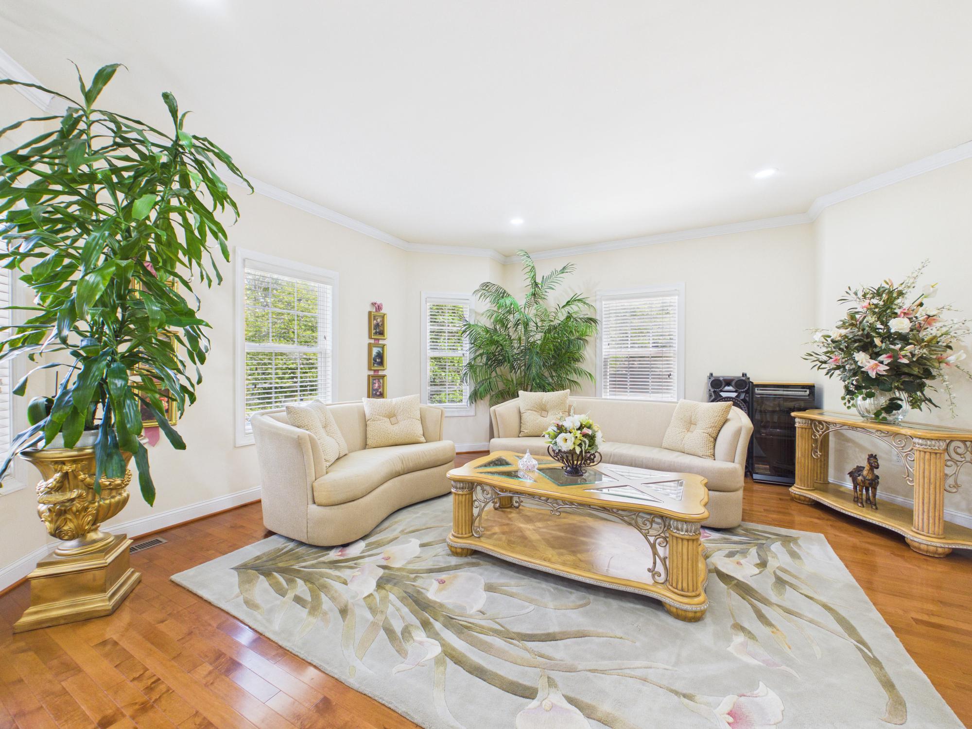7801 Ridgewood Drive Annandale, VA 22003 - Photo 11 of 72 a living room with furniture and a potted plant