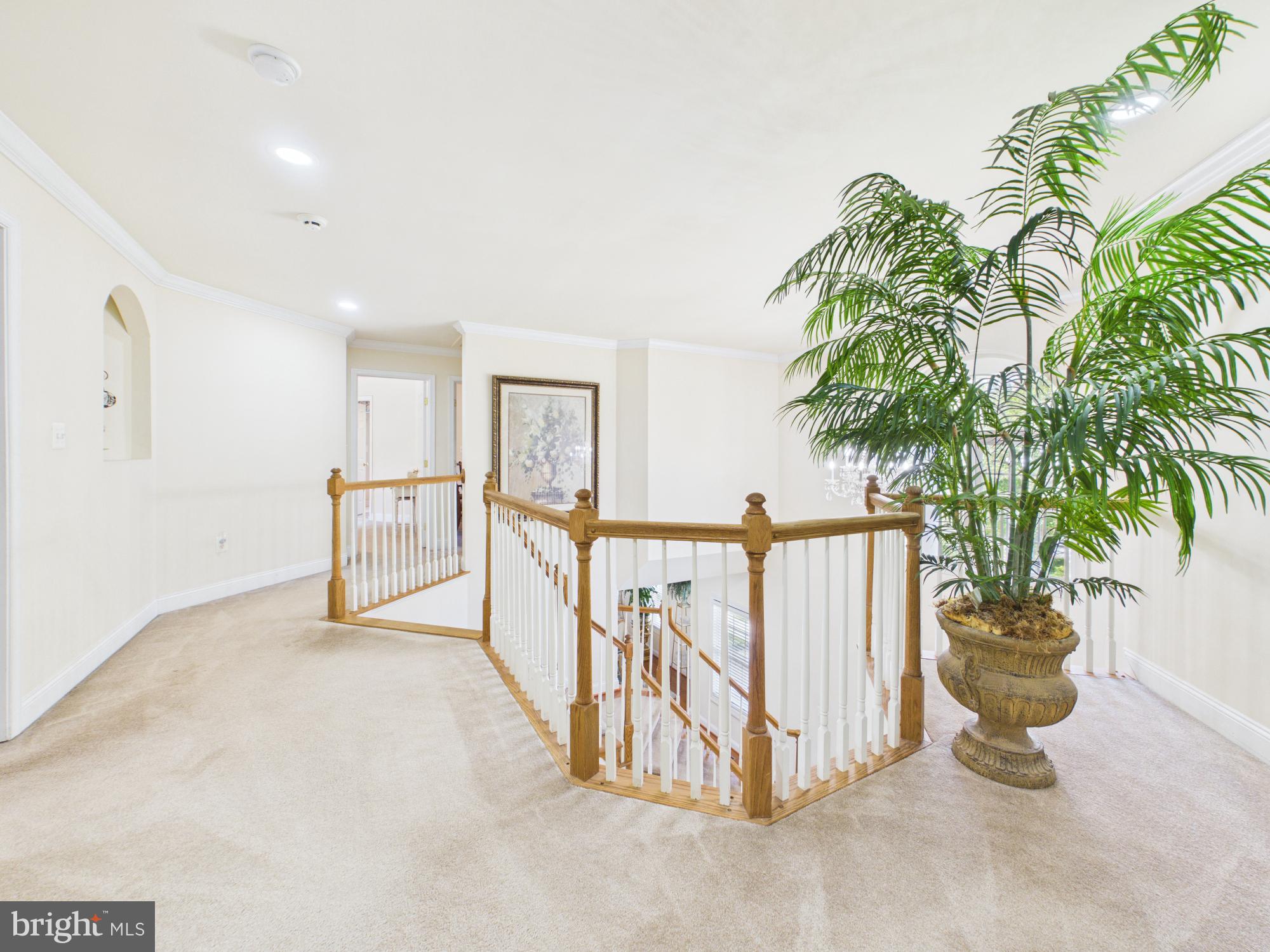7801 Ridgewood Drive Annandale, VA 22003 - Photo 29 of 72 Elegant foyer with lush greenery.