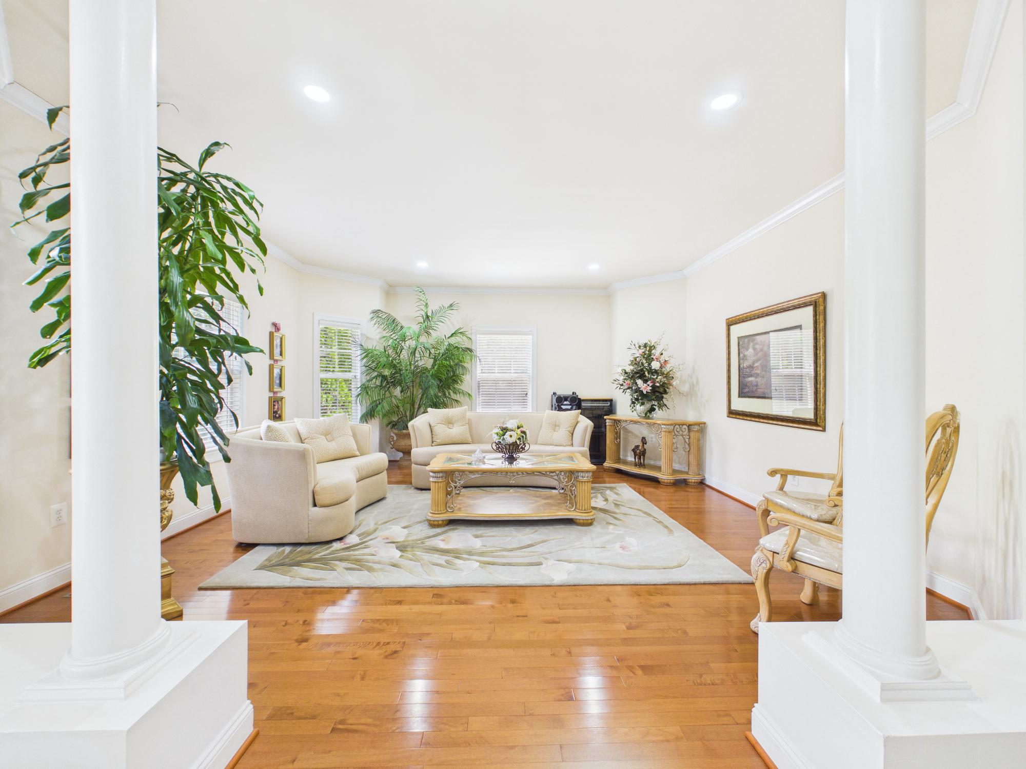 7801 Ridgewood Drive Annandale, VA 22003 - Photo 10 of 72 a living room with furniture and a potted plant