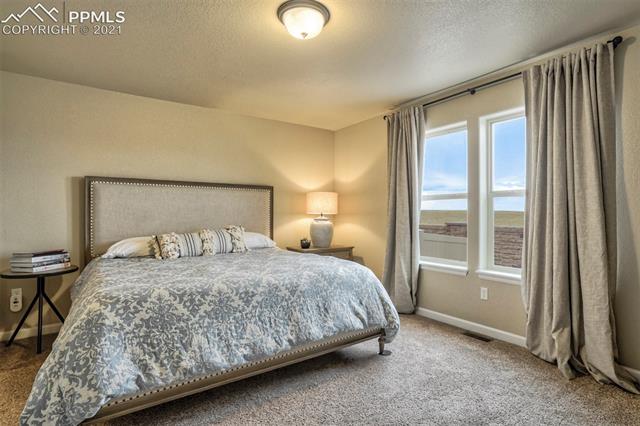 11463 Rill Point Colorado Springs, CO 80921 - Photo 20 of 48