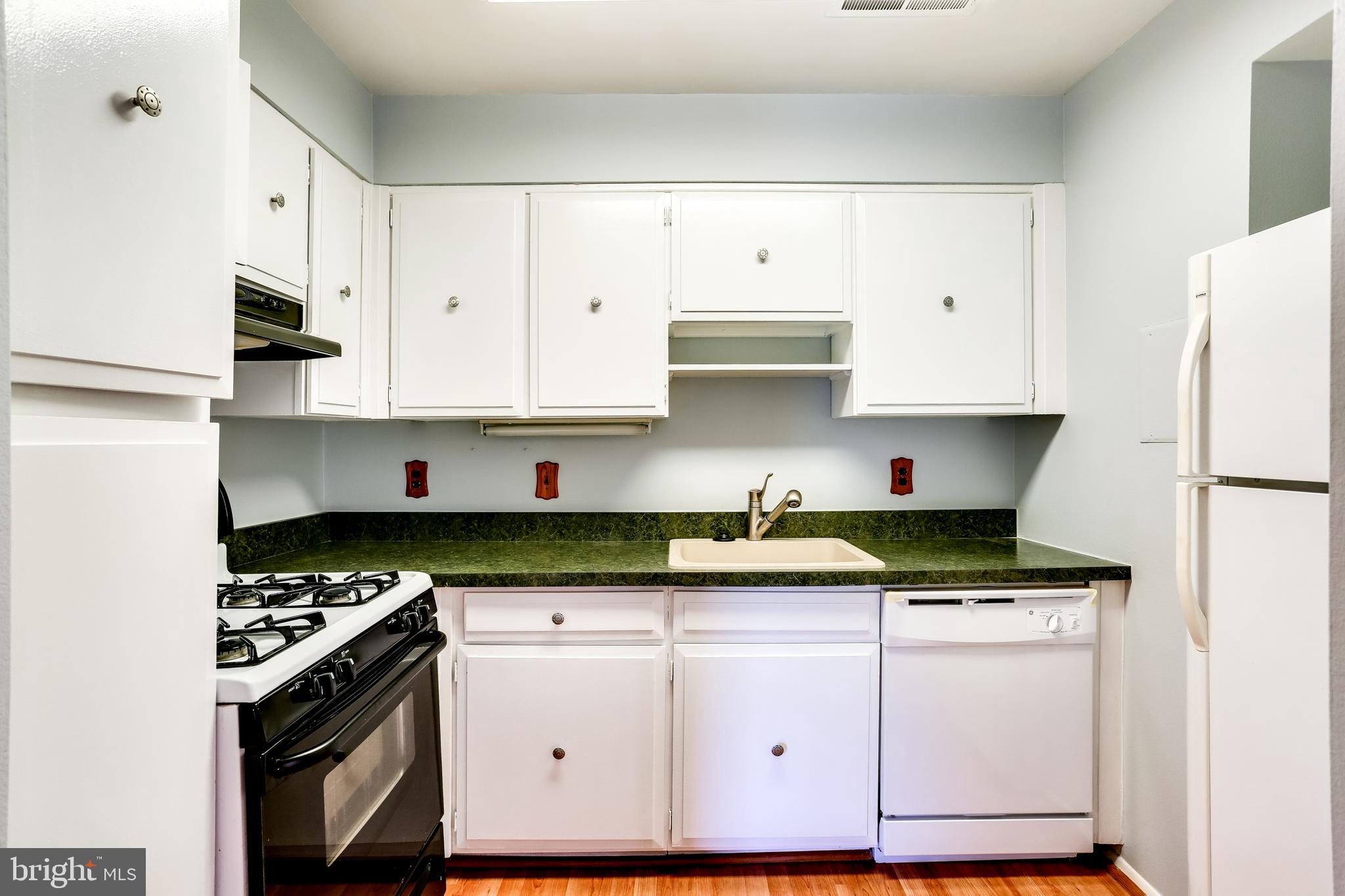 2101 Walsh View Terrace, Unit 17202 Silver Spring, MD 20902 - Photo 11 of 46 Gallery Image 11